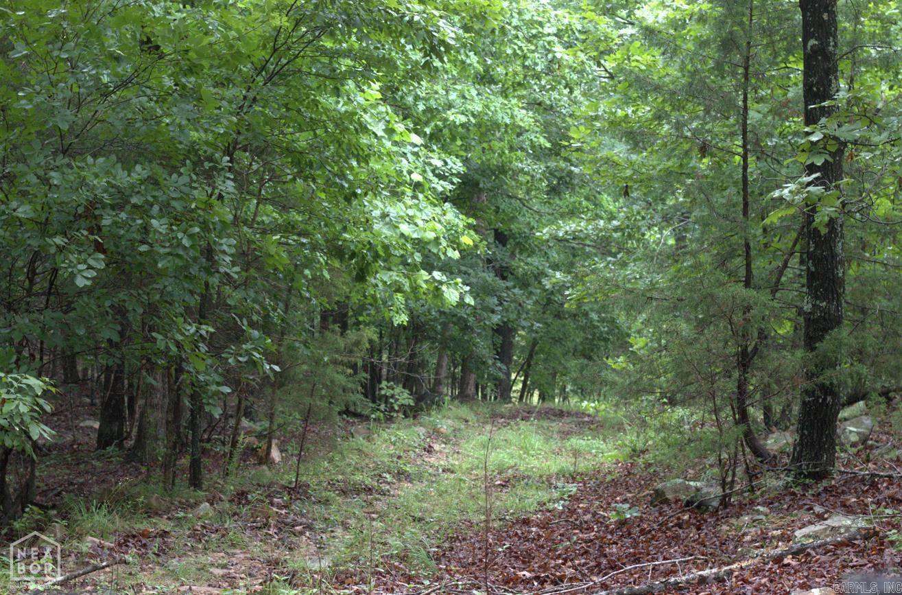 Photo 12 - Vacant Land for sale – 47  Sturkie   Salem, AR
