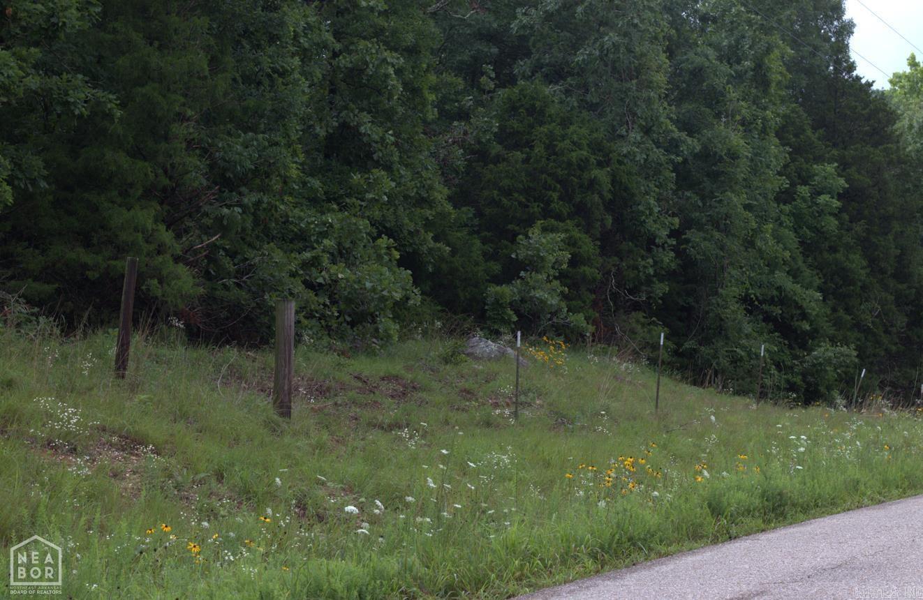 Photo 13 - Vacant Land for sale – 47  Sturkie   Salem, AR