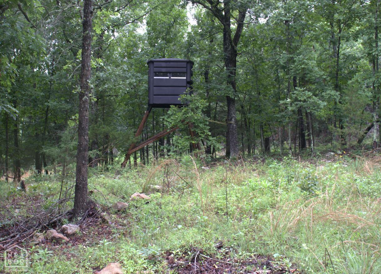 Photo 3 - Vacant Land for sale – 47  Sturkie   Salem, AR