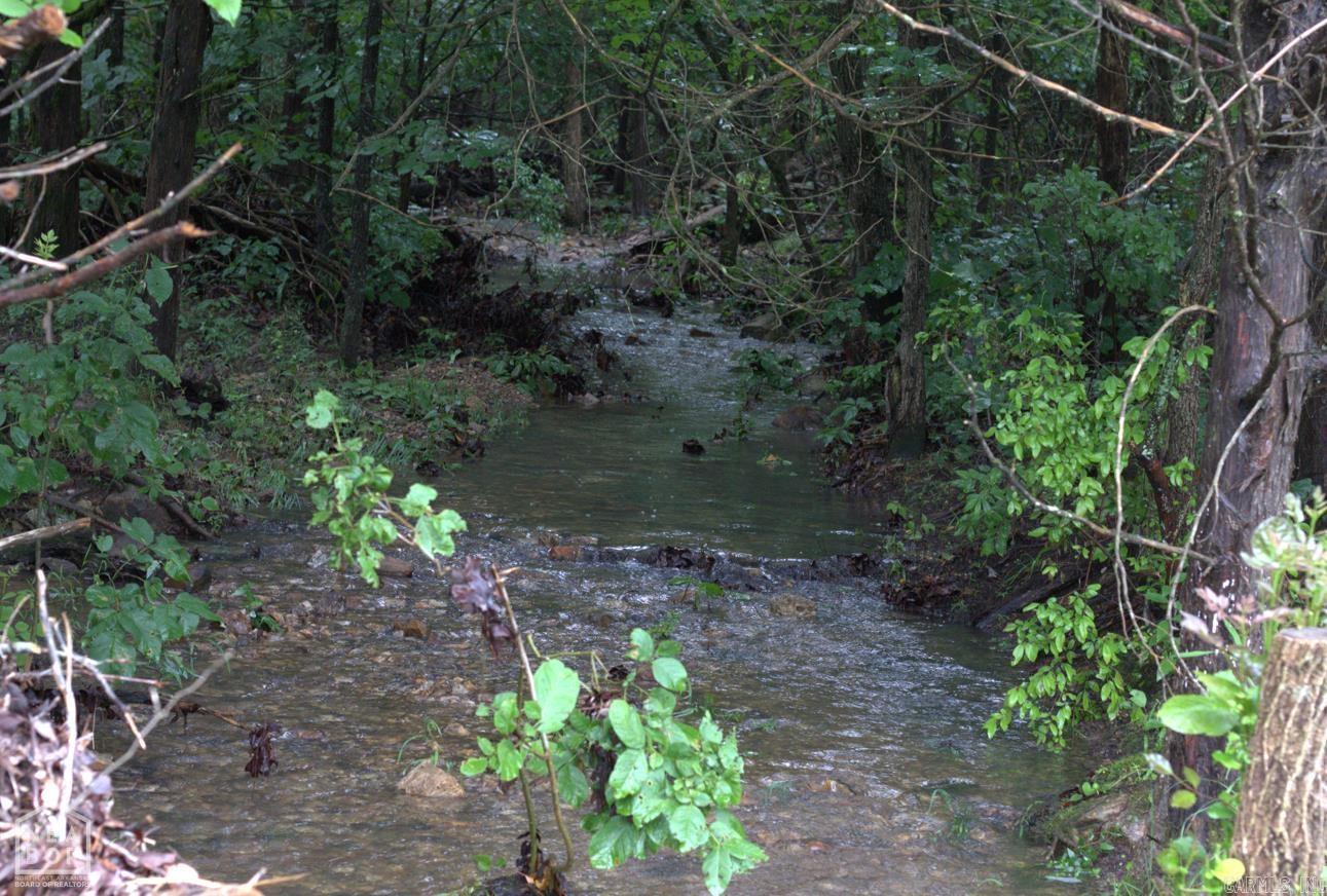Photo 4 - Vacant Land for sale – 47  Sturkie   Salem, AR
