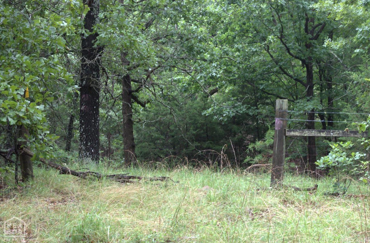 Photo 7 - Vacant Land for sale – 47  Sturkie   Salem, AR