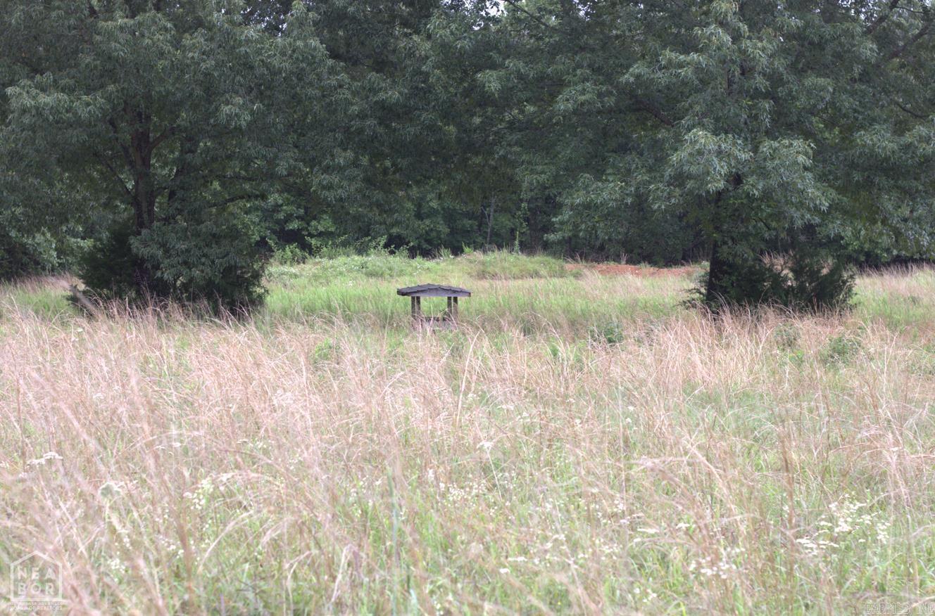 Photo 9 - Vacant Land for sale – 47  Sturkie   Salem, AR