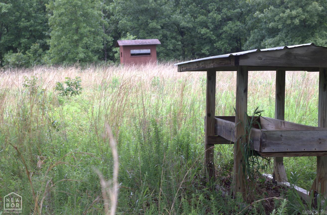 Photo 10 - Vacant Land for sale – 47  Sturkie   Salem, AR