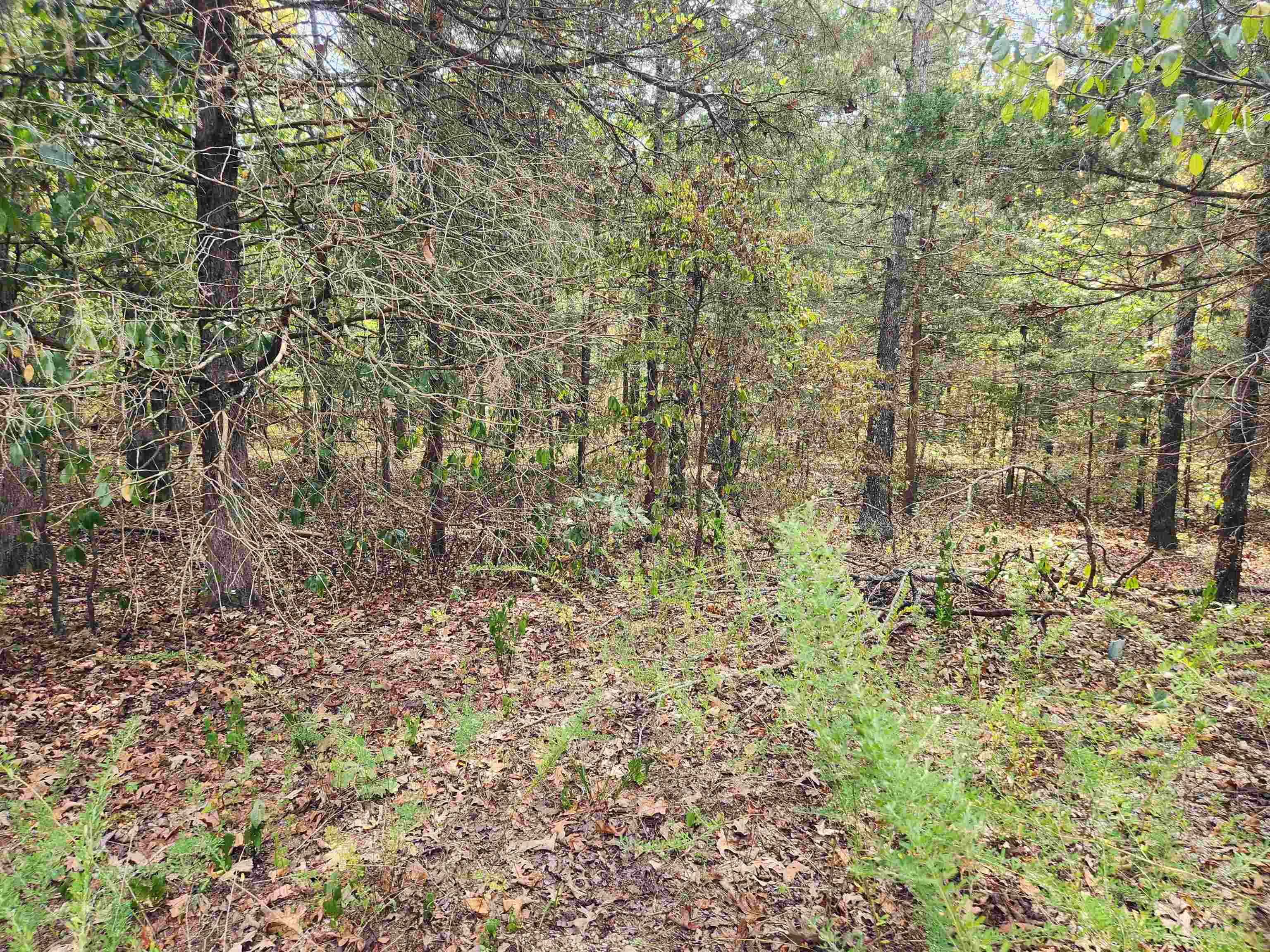 Vacant Land for sale – L24B3  Bokchito   Cherokee Village, AR
