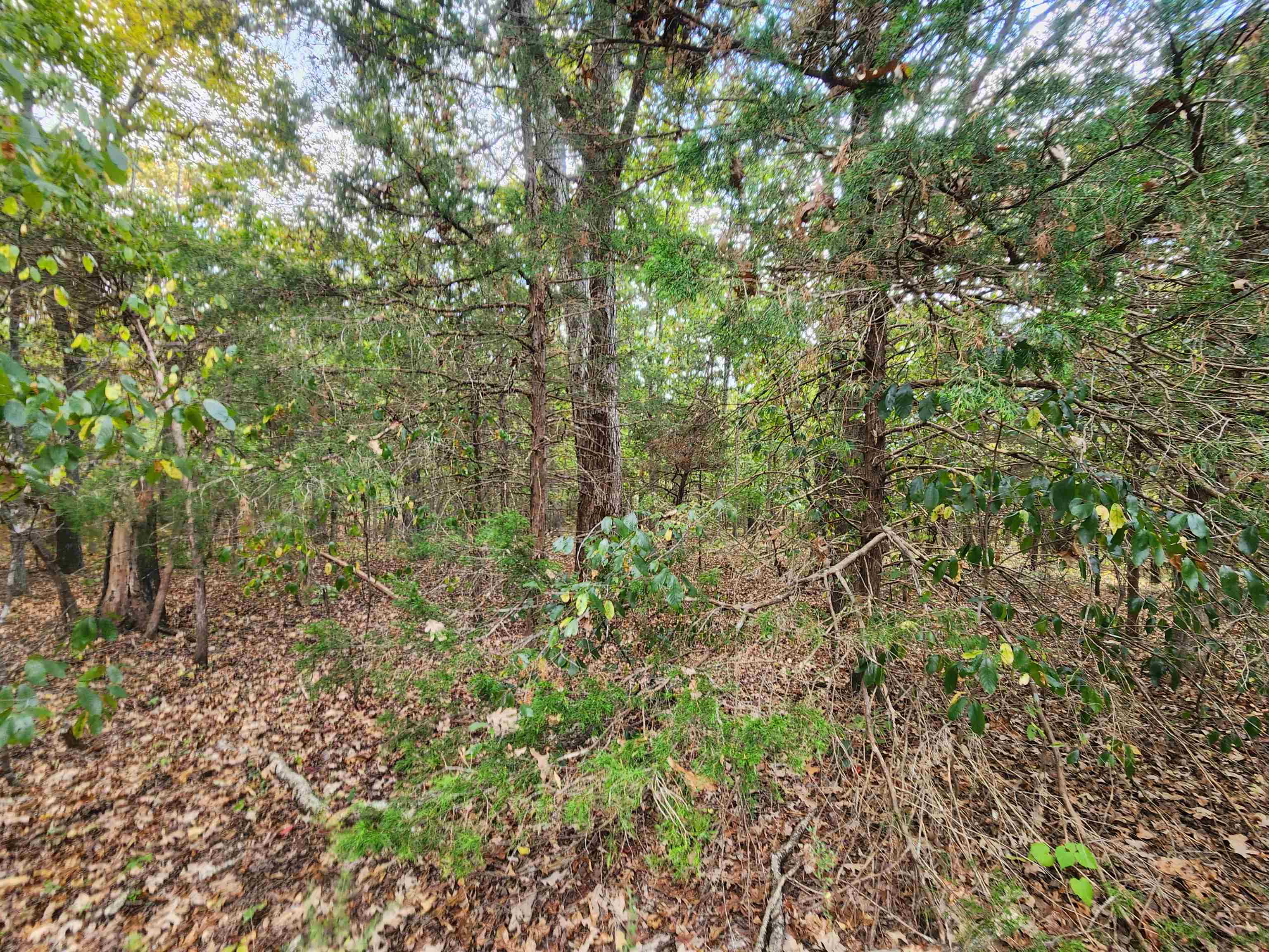 Photo 11 - Vacant Land for sale – L24B3  Bokchito   Cherokee Village, AR
