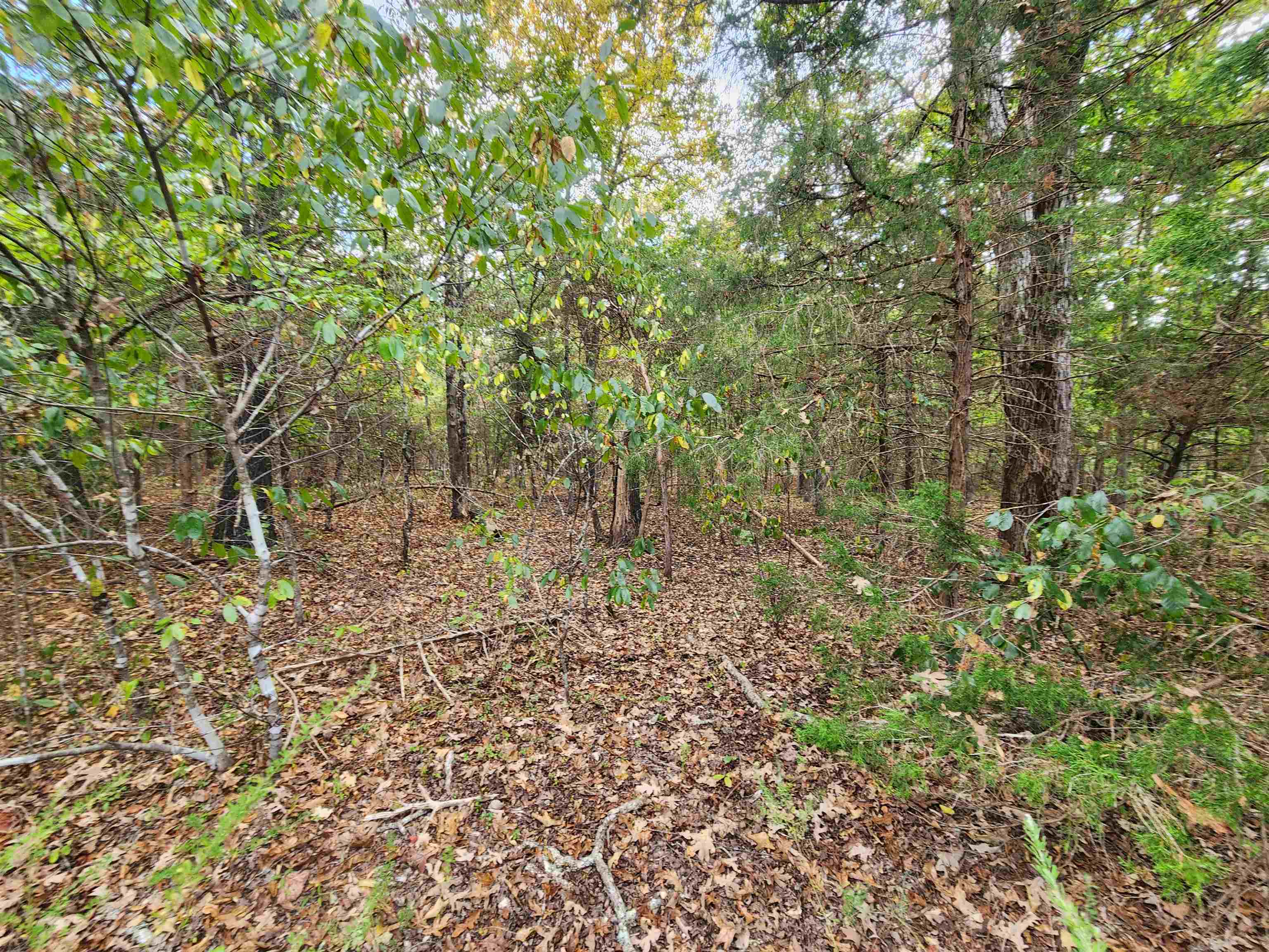 Photo 12 - Vacant Land for sale – L24B3  Bokchito   Cherokee Village, AR