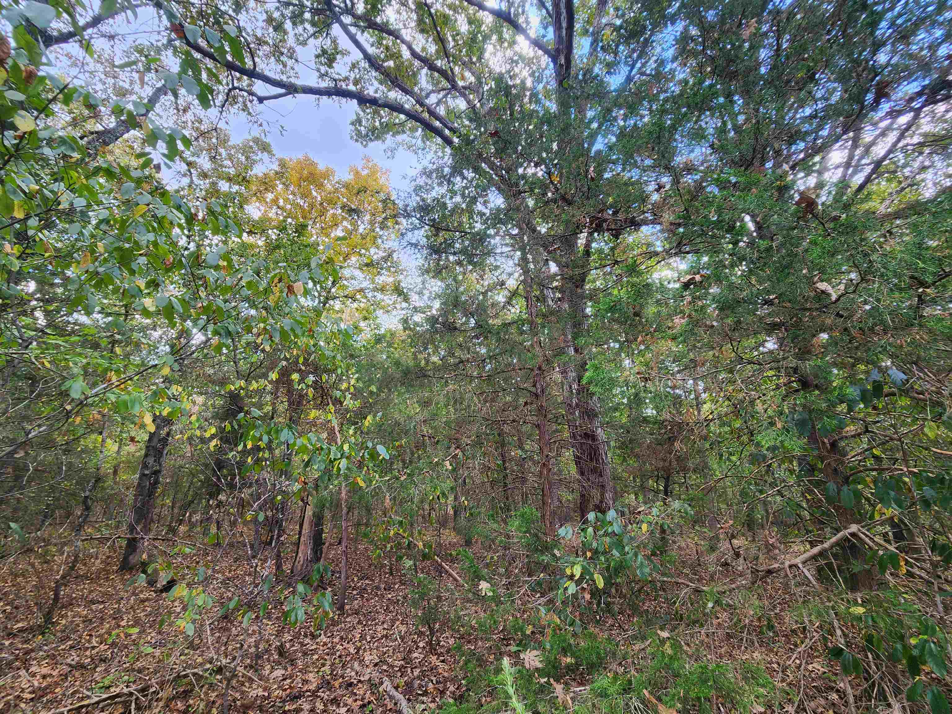 Photo 13 - Vacant Land for sale – L24B3  Bokchito   Cherokee Village, AR