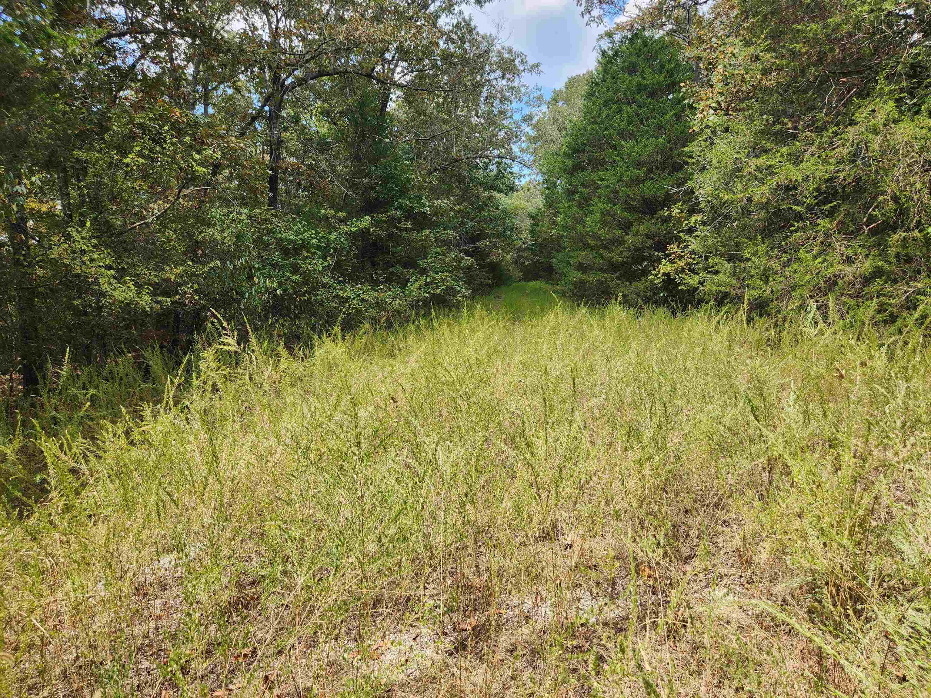 Photo 3 - Vacant Land for sale – L24B3  Bokchito   Cherokee Village, AR