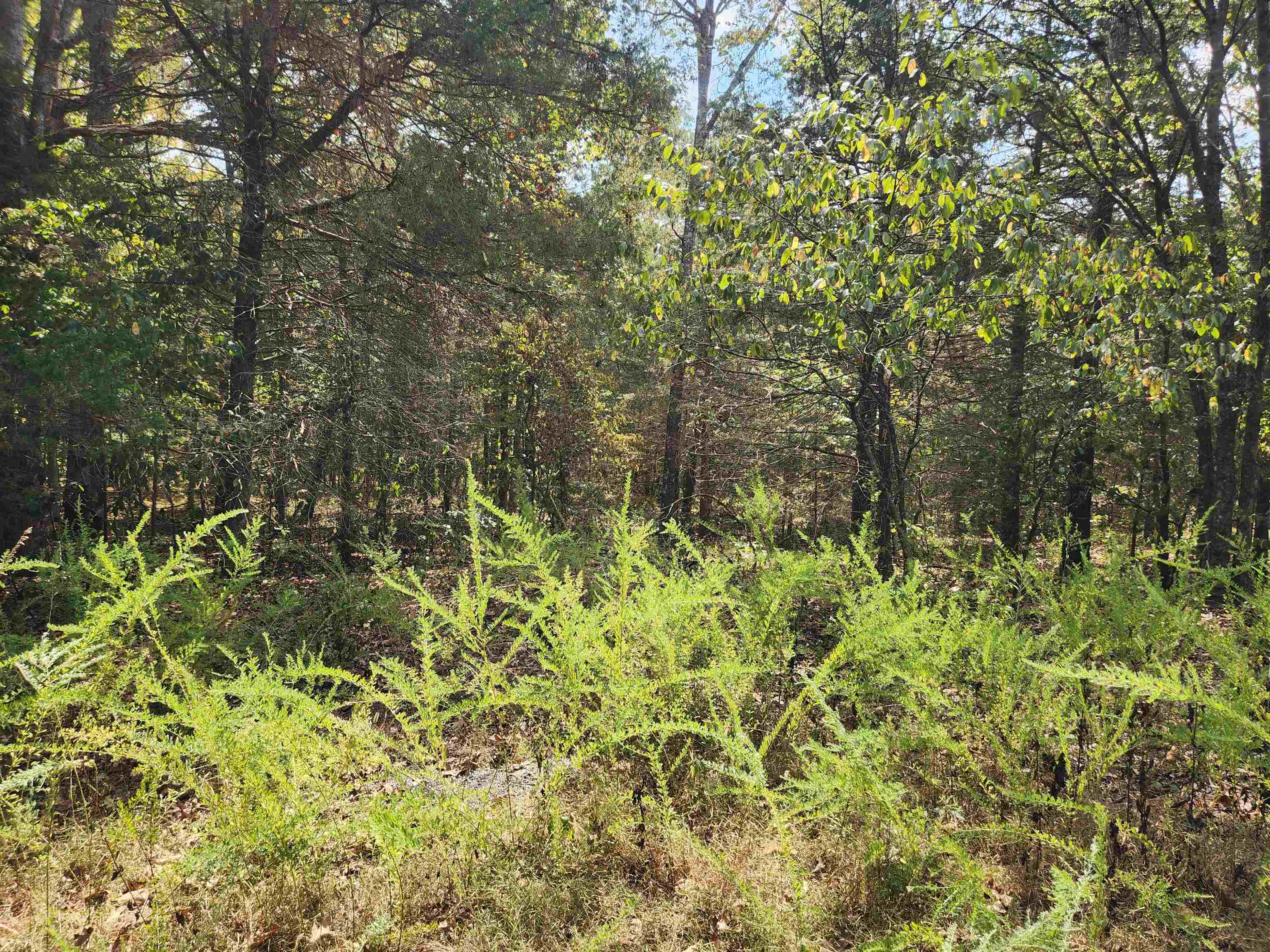 Photo 4 - Vacant Land for sale – L24B3  Bokchito   Cherokee Village, AR