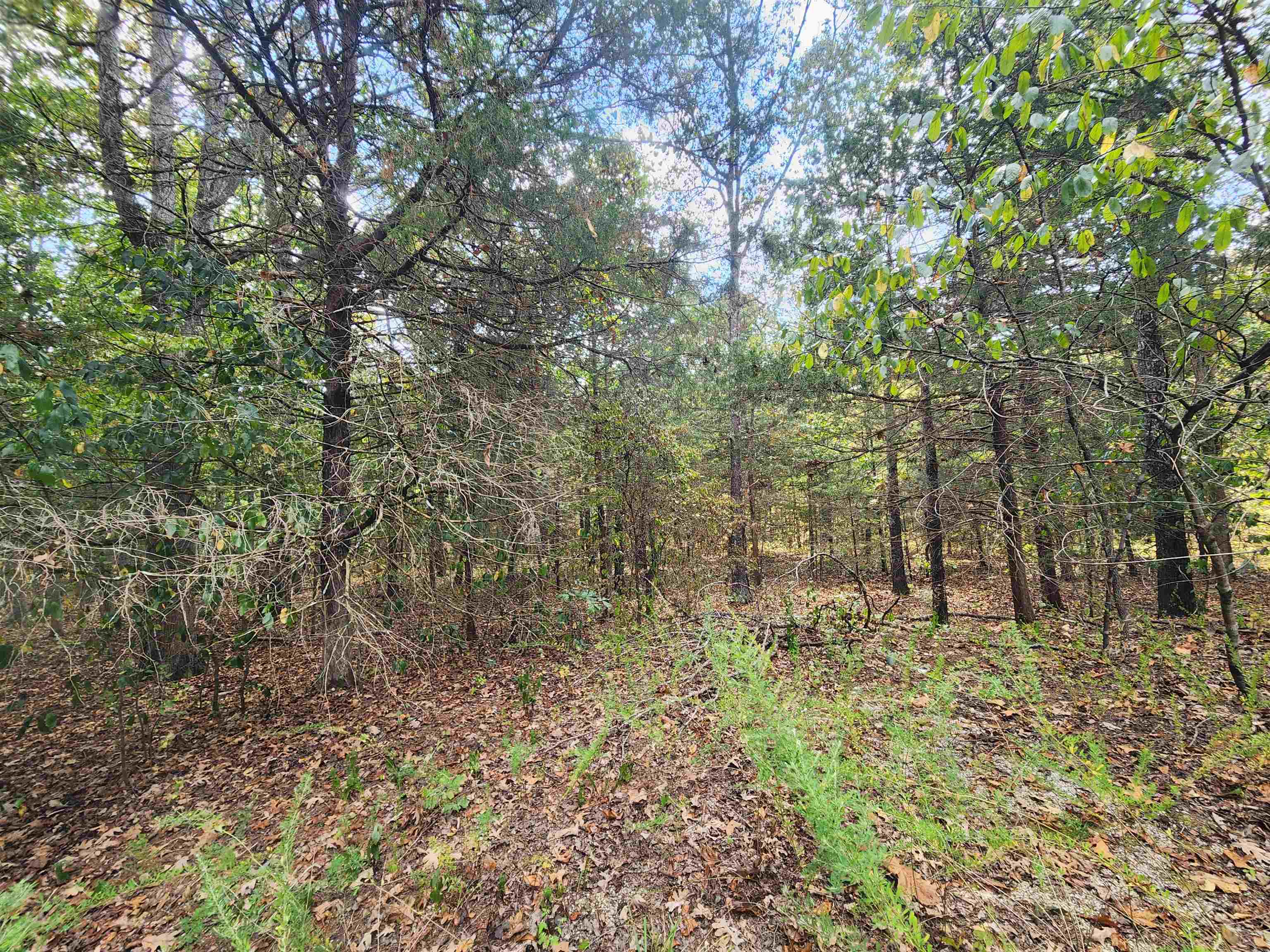 Photo 7 - Vacant Land for sale – L24B3  Bokchito   Cherokee Village, AR