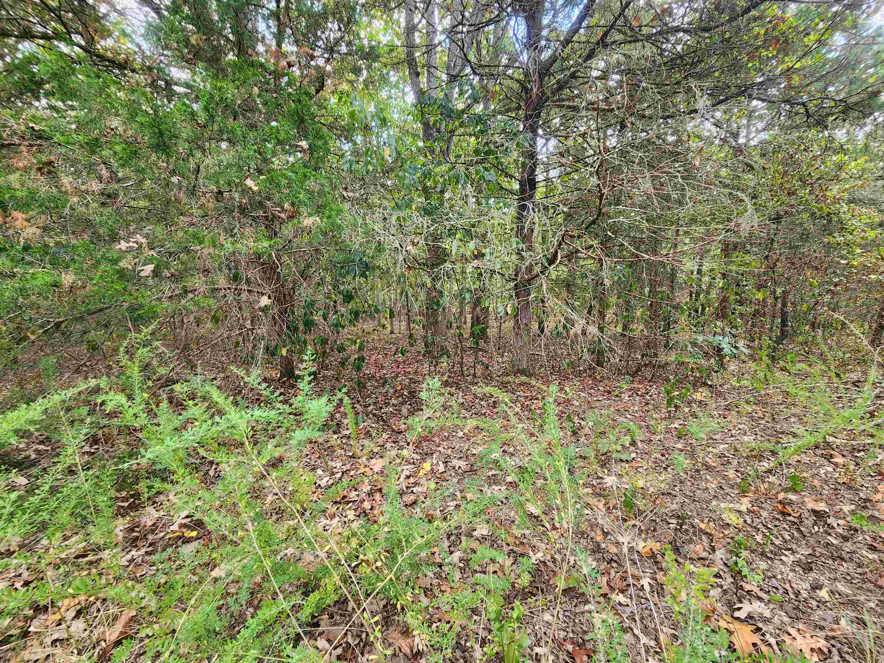 Photo 8 - Vacant Land for sale – L24B3  Bokchito   Cherokee Village, AR