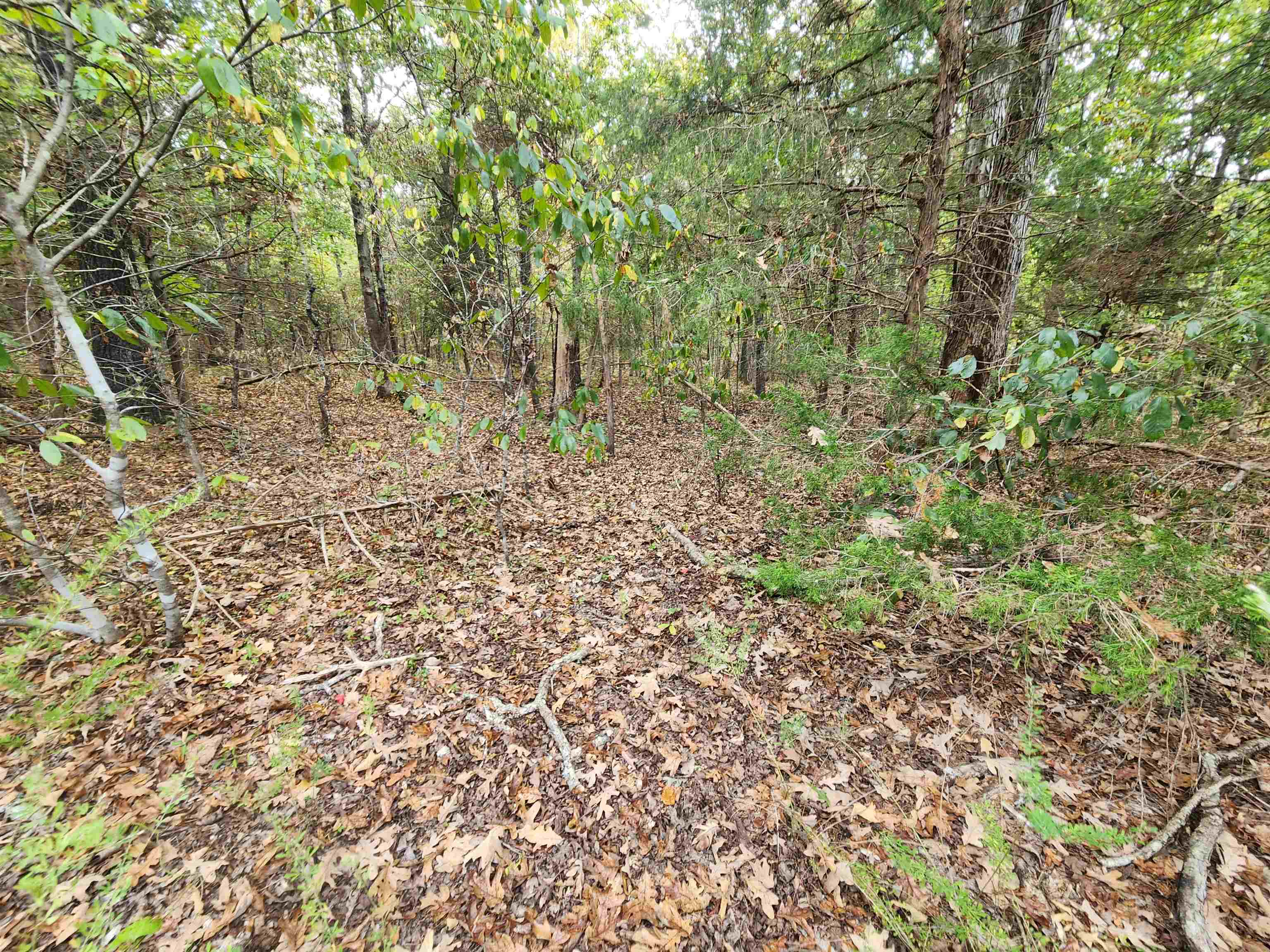 Photo 9 - Vacant Land for sale – L24B3  Bokchito   Cherokee Village, AR