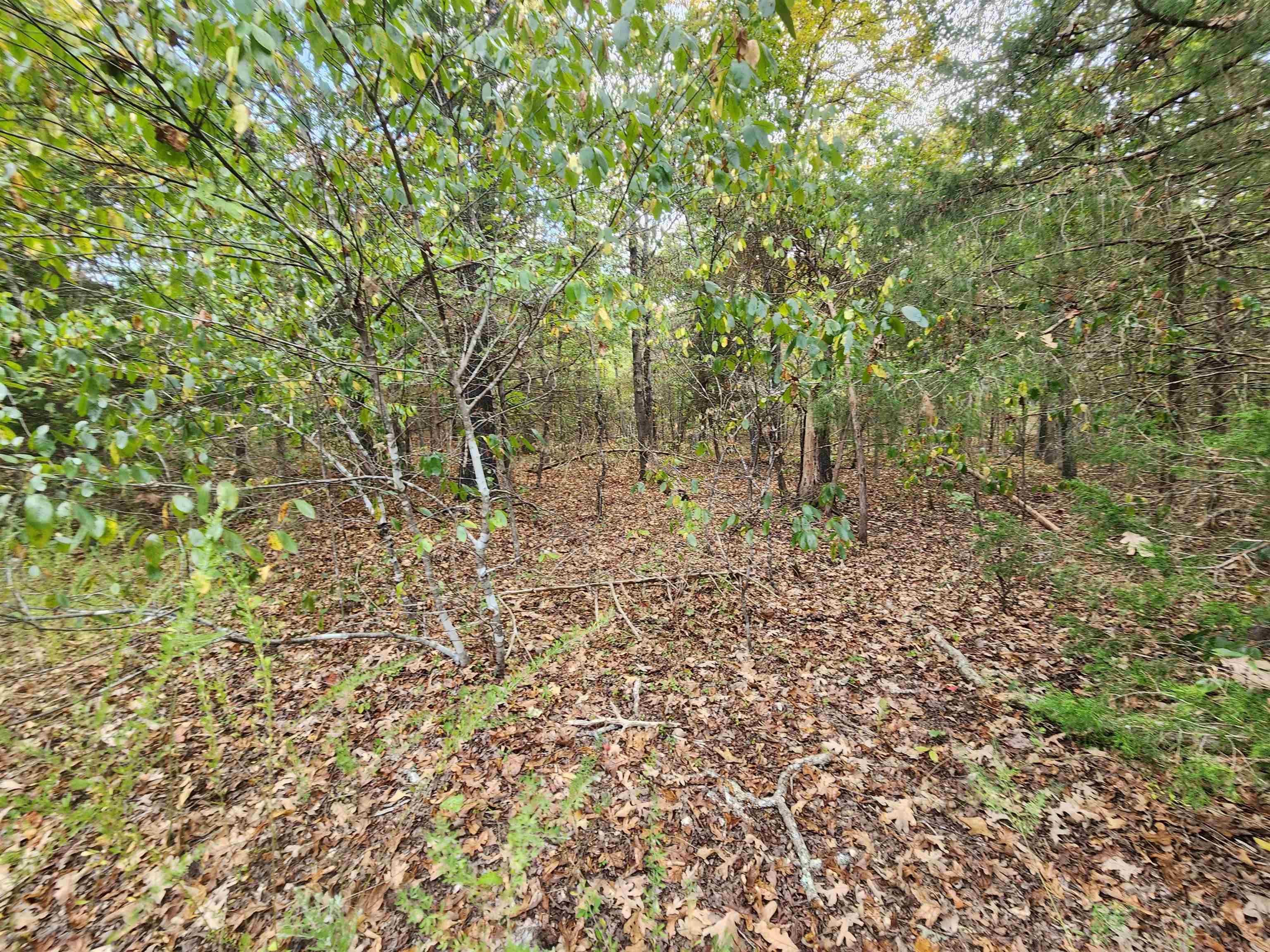 Photo 10 - Vacant Land for sale – L24B3  Bokchito   Cherokee Village, AR
