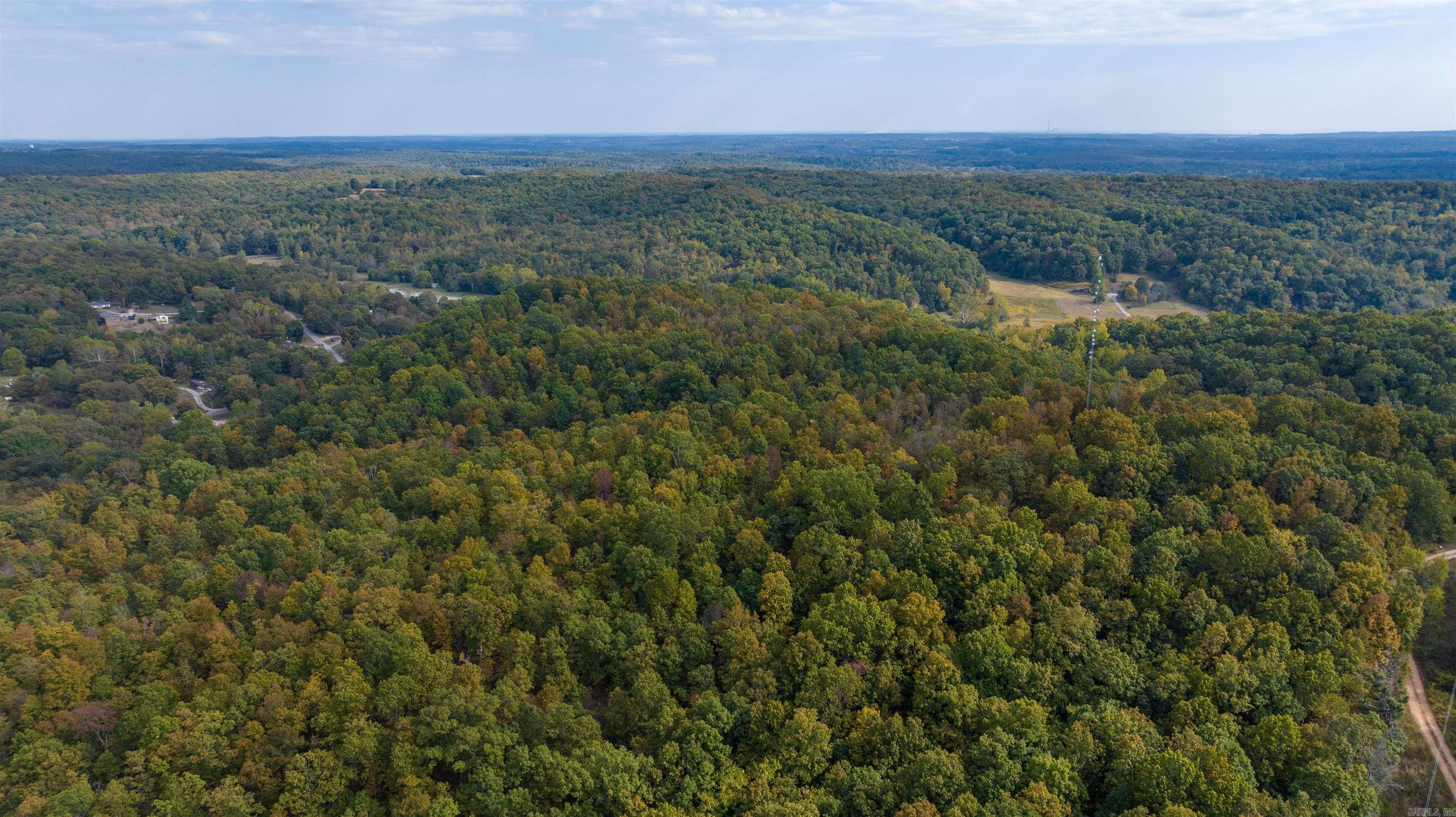 Photo 3 - Vacant Land for sale – 0  Grant   Batesville, AR