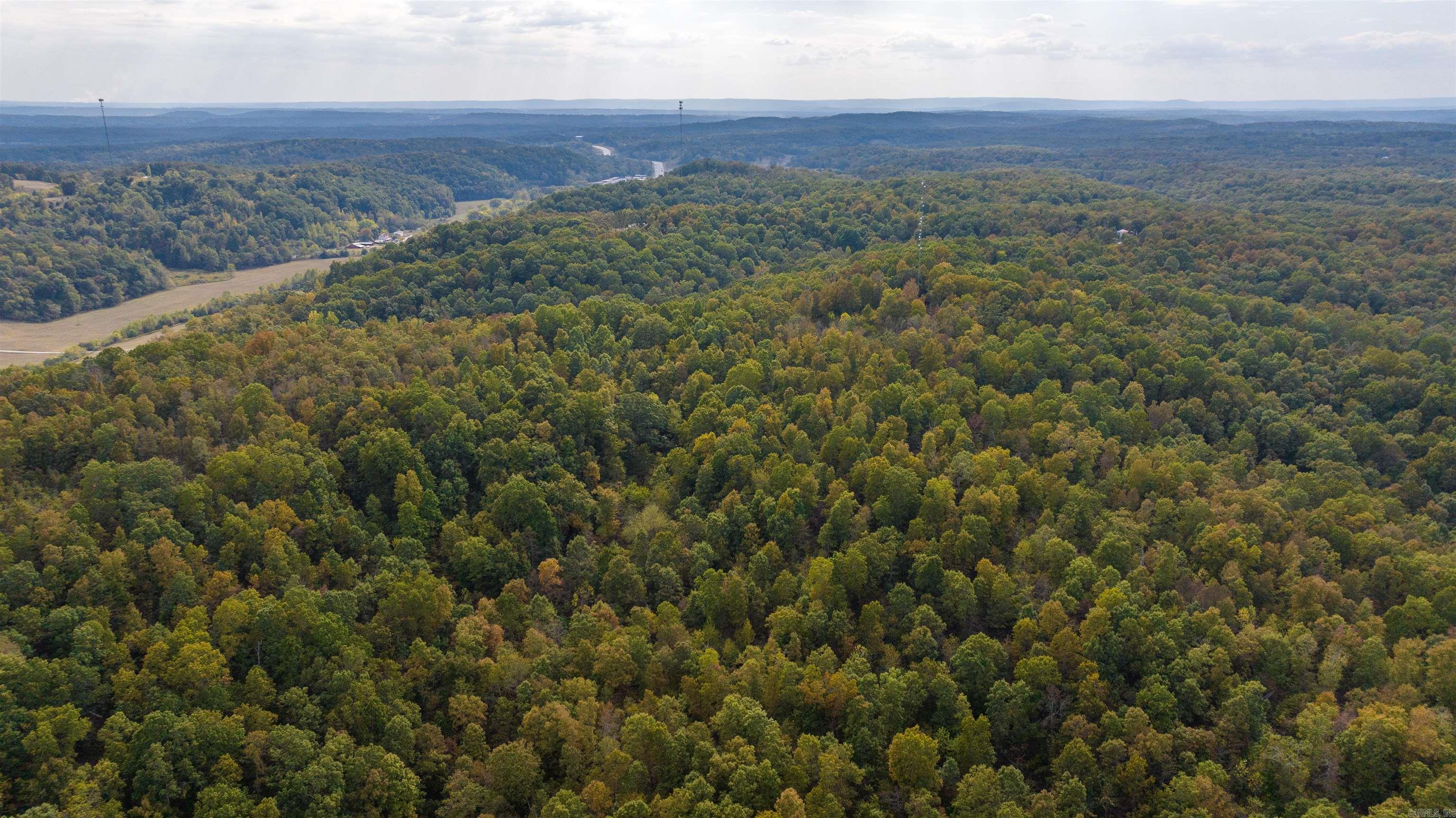 Photo 4 - Vacant Land for sale – 0  Grant   Batesville, AR
