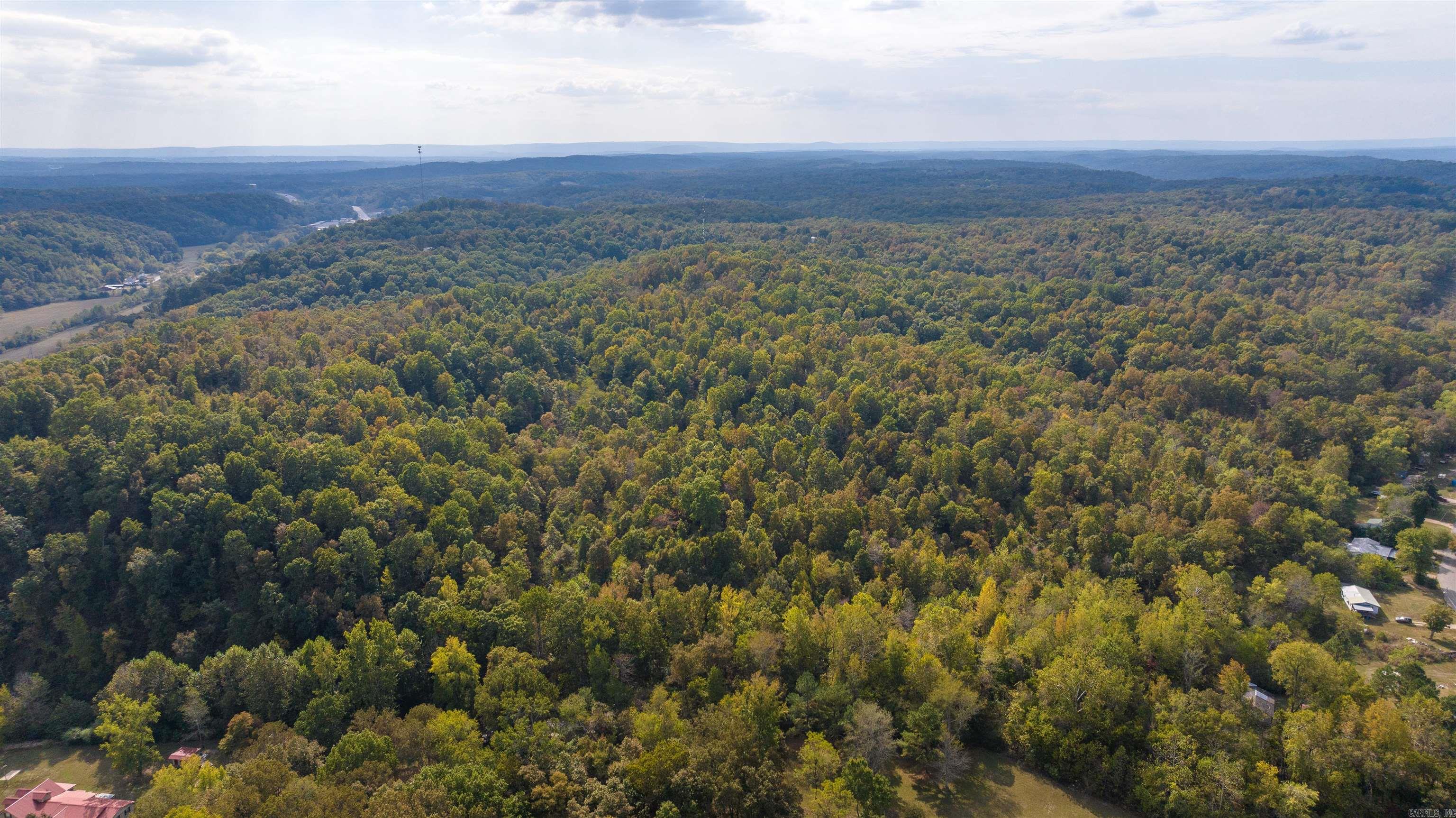 Photo 7 - Vacant Land for sale – 0  Grant   Batesville, AR