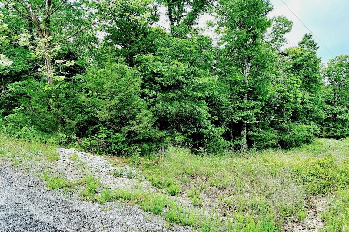 Vacant Land for sale – 101  Hot Springs   Horseshoe Bend, AR