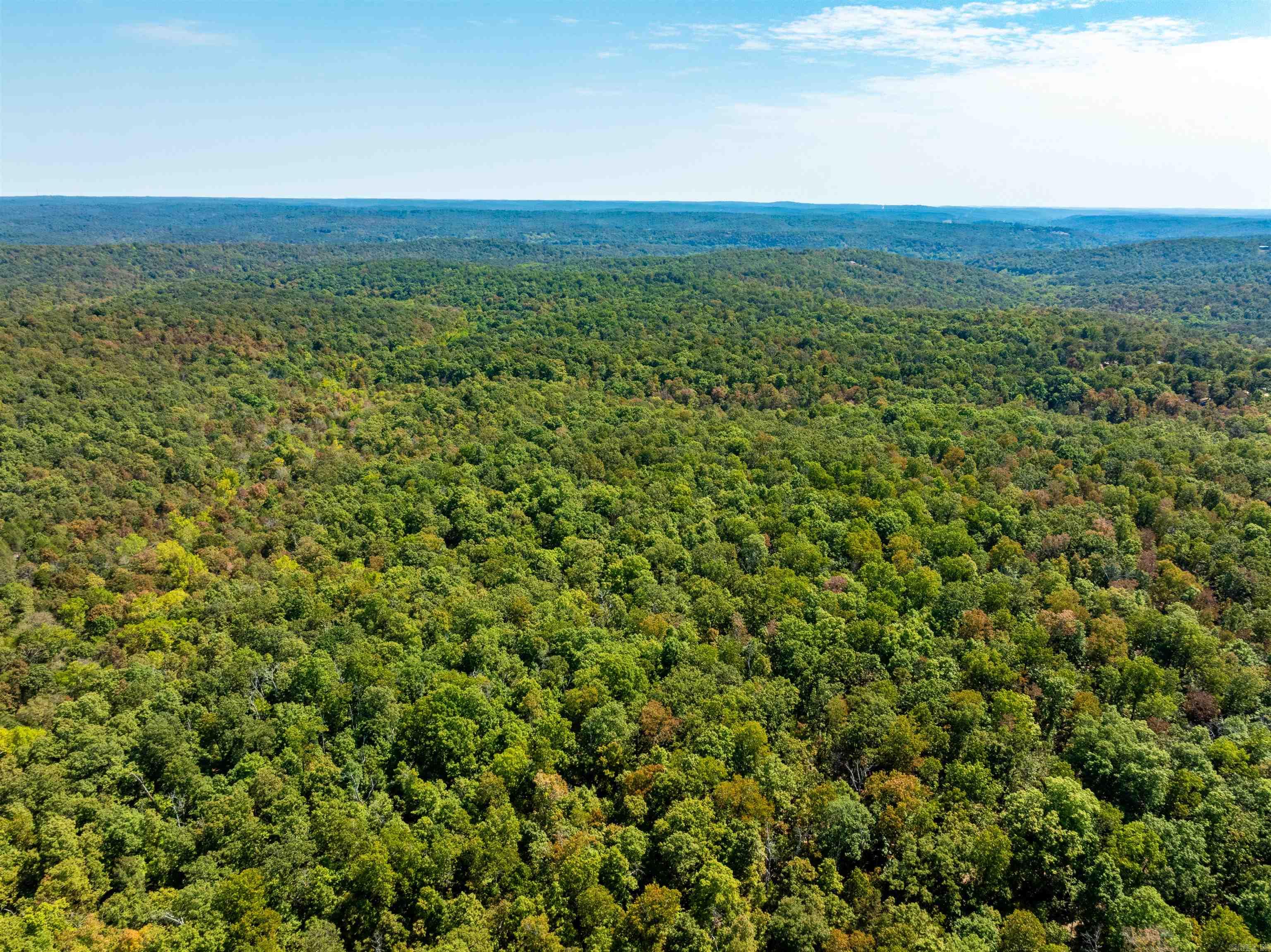 Vacant Land for sale – TBD  Red Fox Rd   Hardy, AR