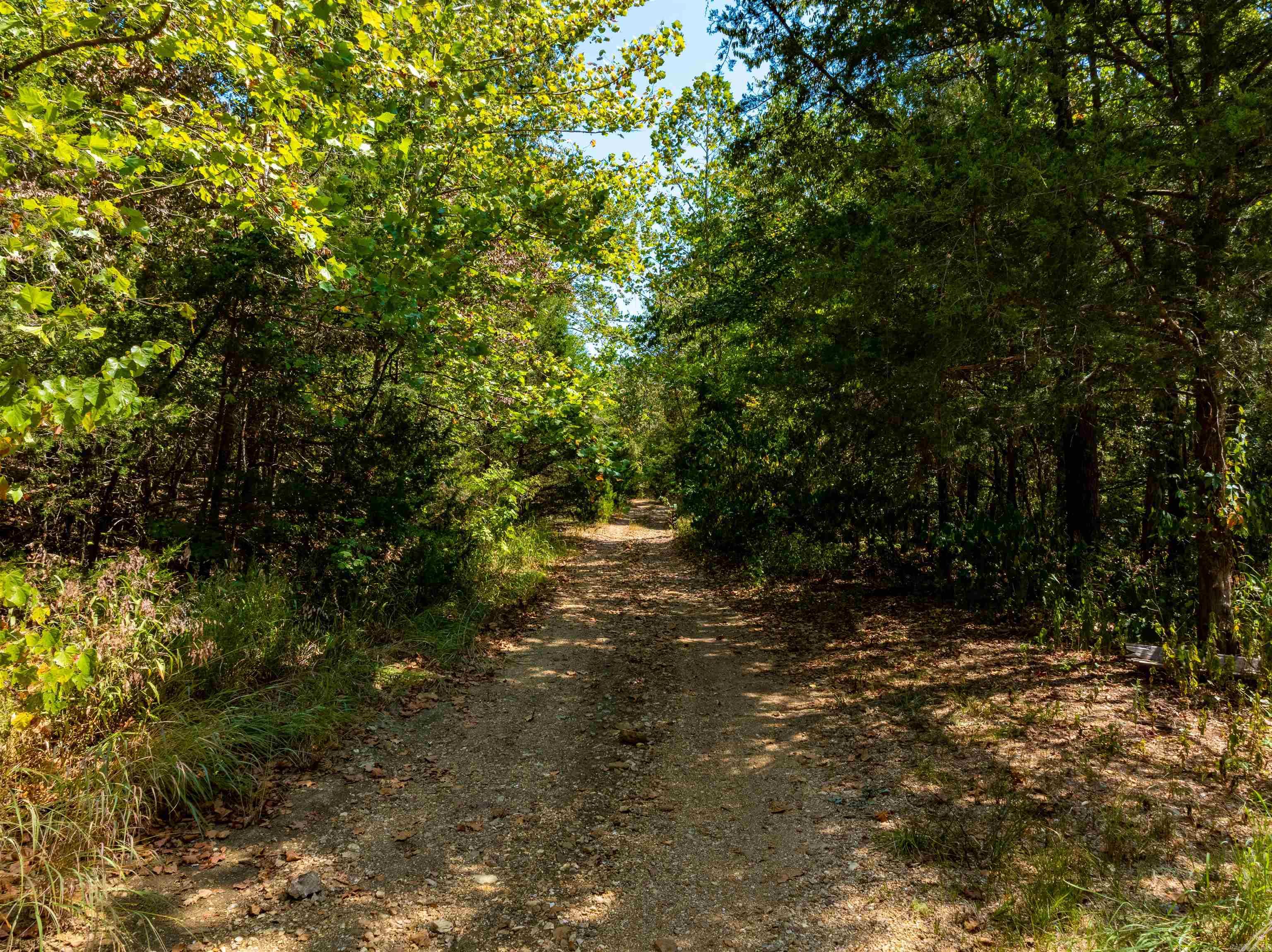 Photo 2 - Vacant Land for sale – TBD  Red Fox Rd   Hardy, AR