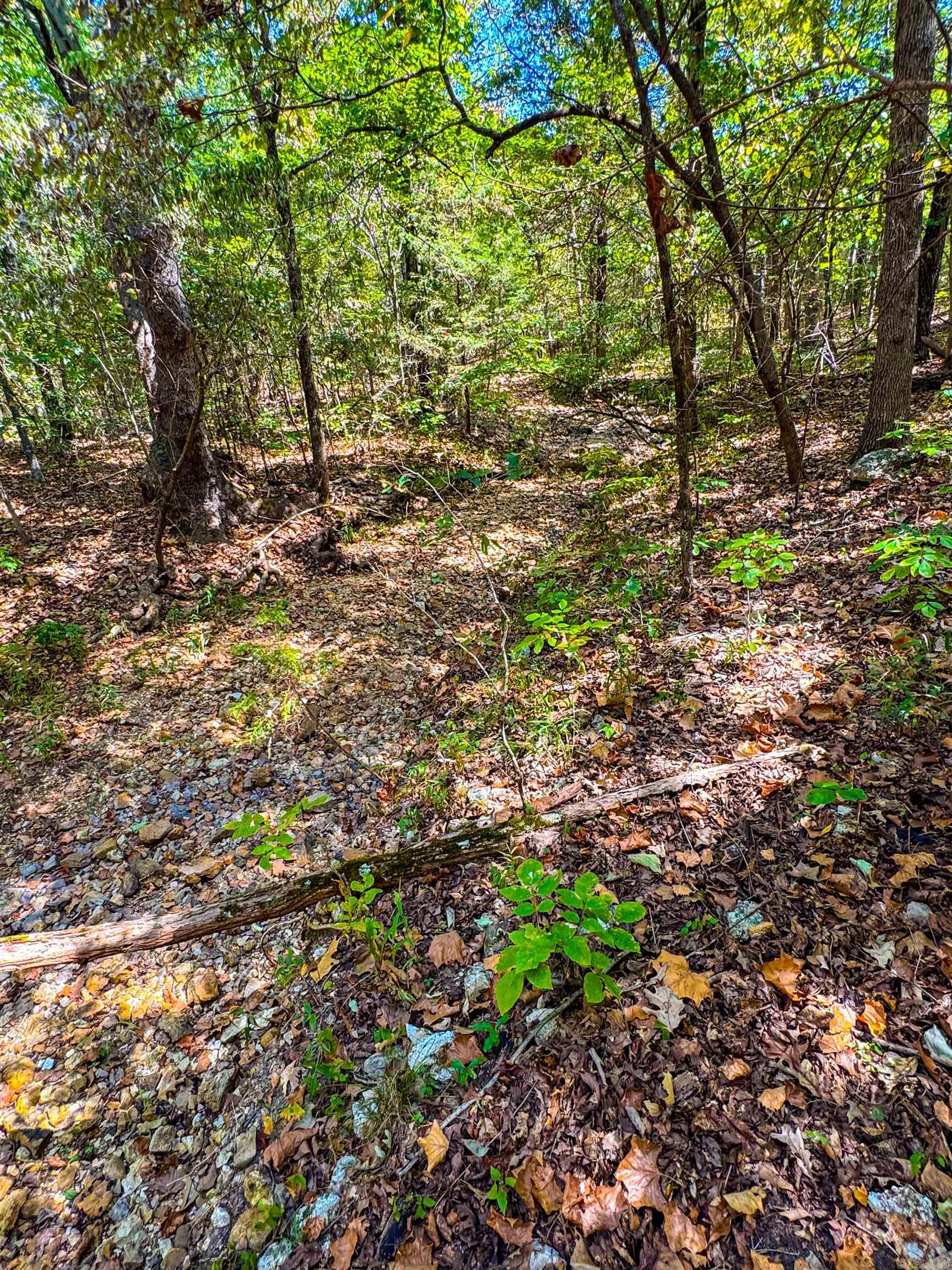 Photo 12 - Vacant Land for sale – TBD  Red Fox Rd   Hardy, AR