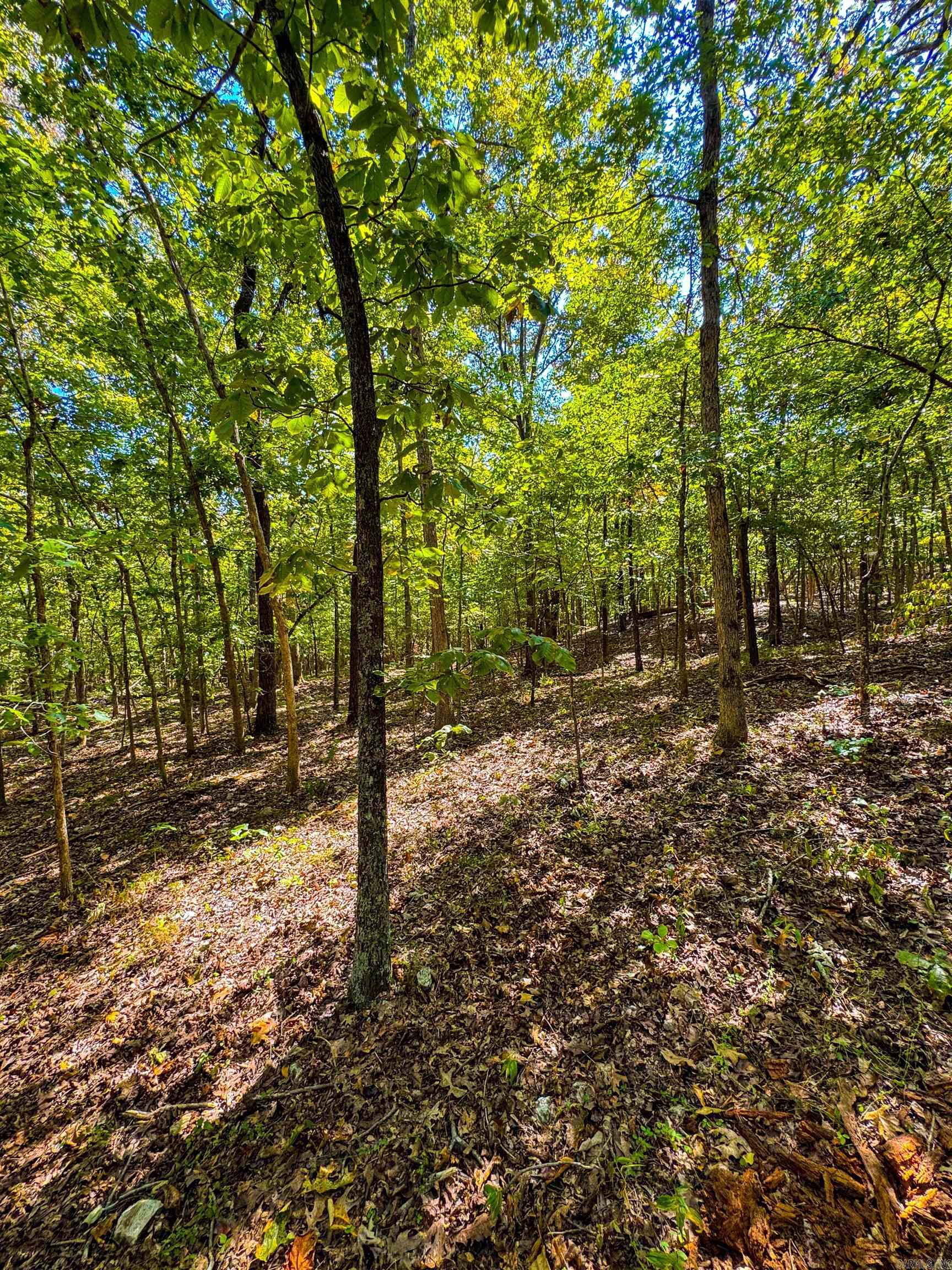 Photo 13 - Vacant Land for sale – TBD  Red Fox Rd   Hardy, AR