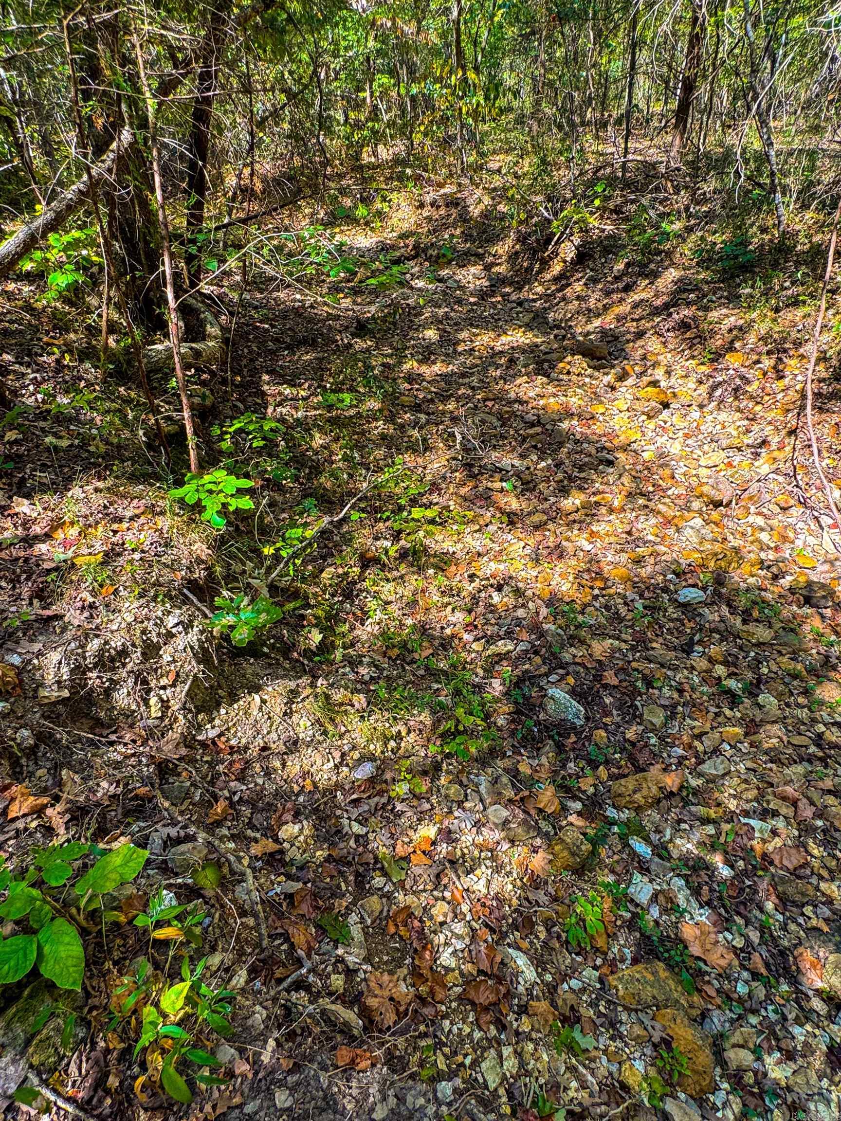 Photo 14 - Vacant Land for sale – TBD  Red Fox Rd   Hardy, AR