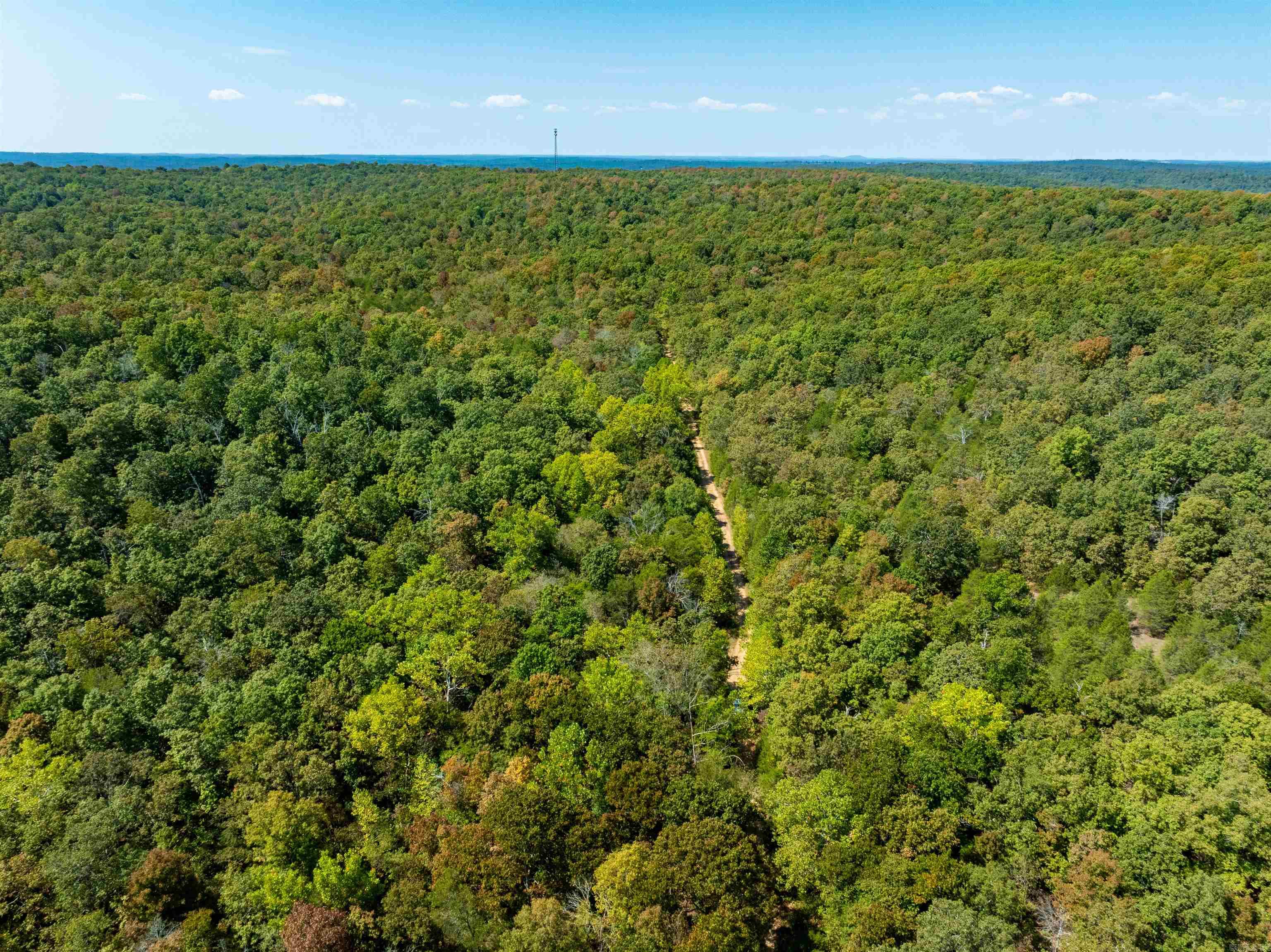 Photo 16 - Vacant Land for sale – TBD  Red Fox Rd   Hardy, AR