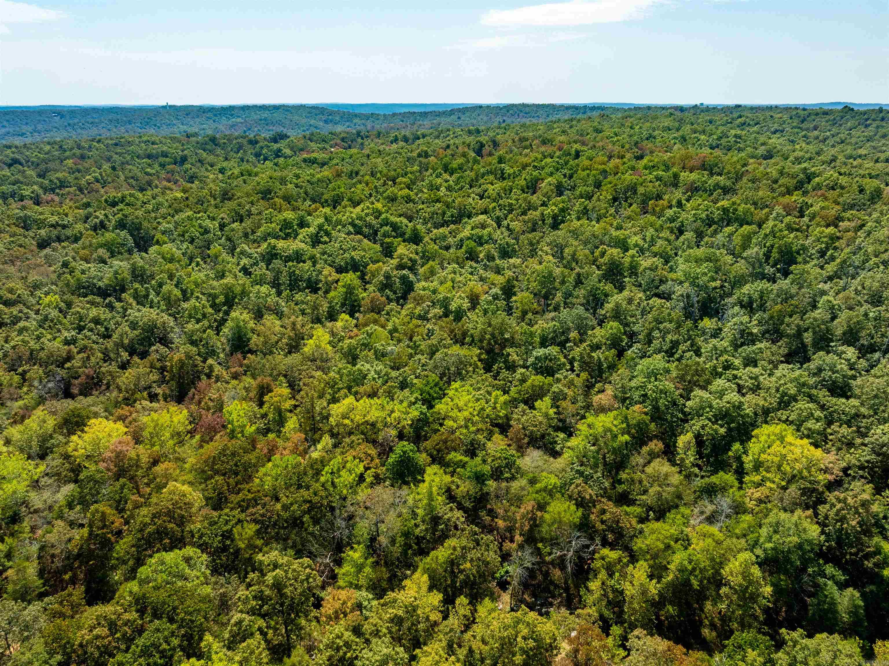 Photo 17 - Vacant Land for sale – TBD  Red Fox Rd   Hardy, AR