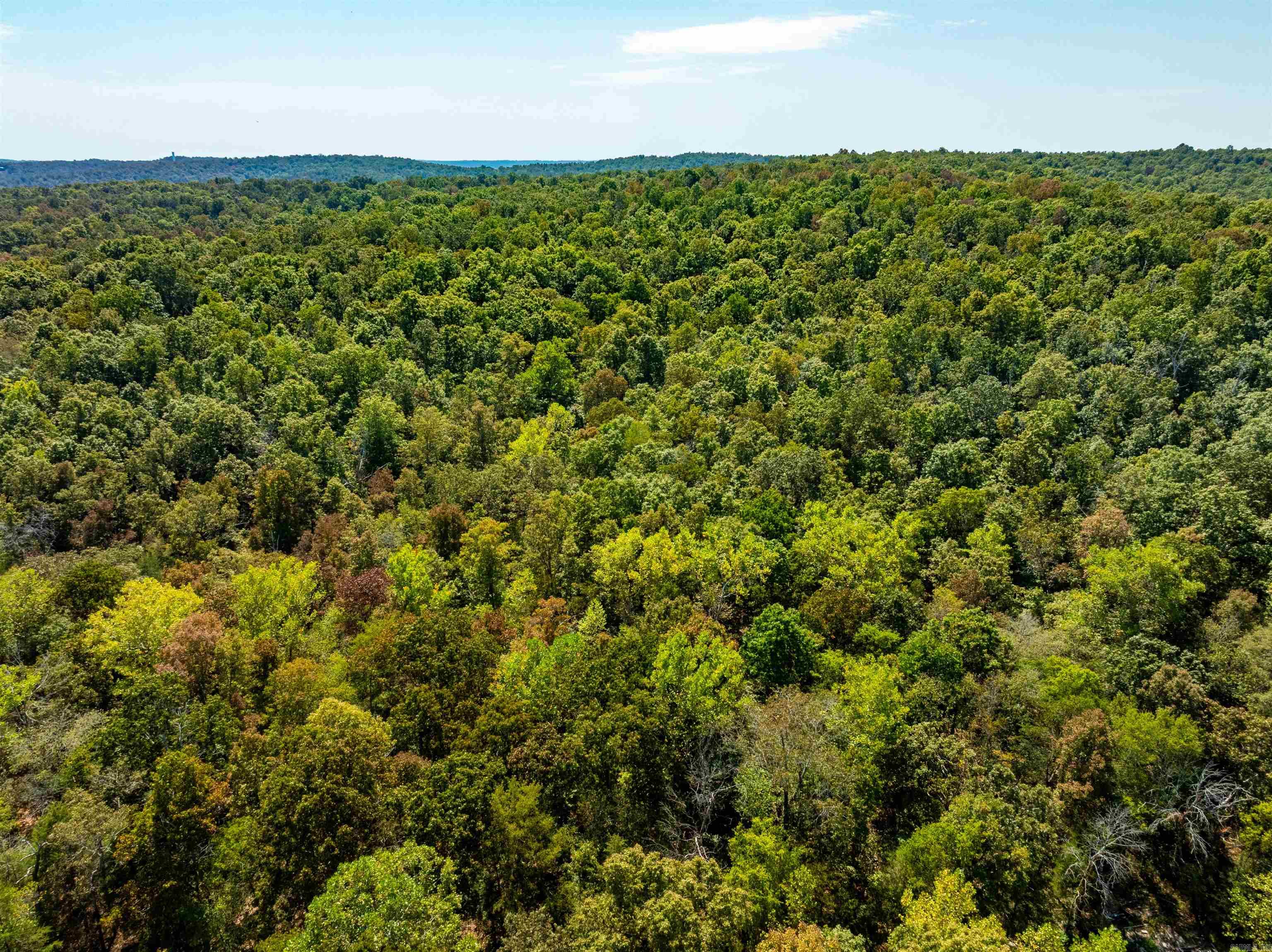 Photo 19 - Vacant Land for sale – TBD  Red Fox Rd   Hardy, AR