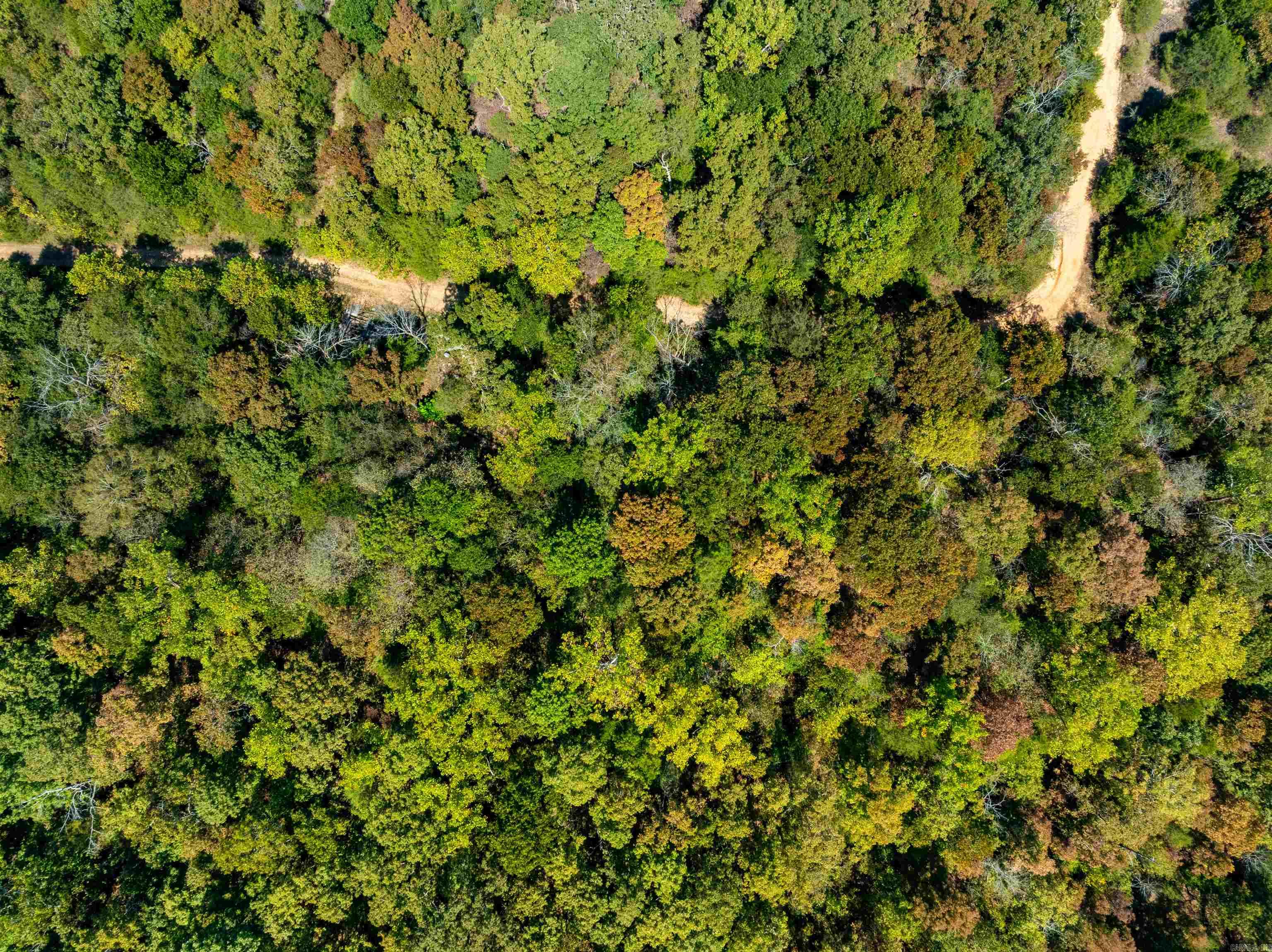 Photo 20 - Vacant Land for sale – TBD  Red Fox Rd   Hardy, AR