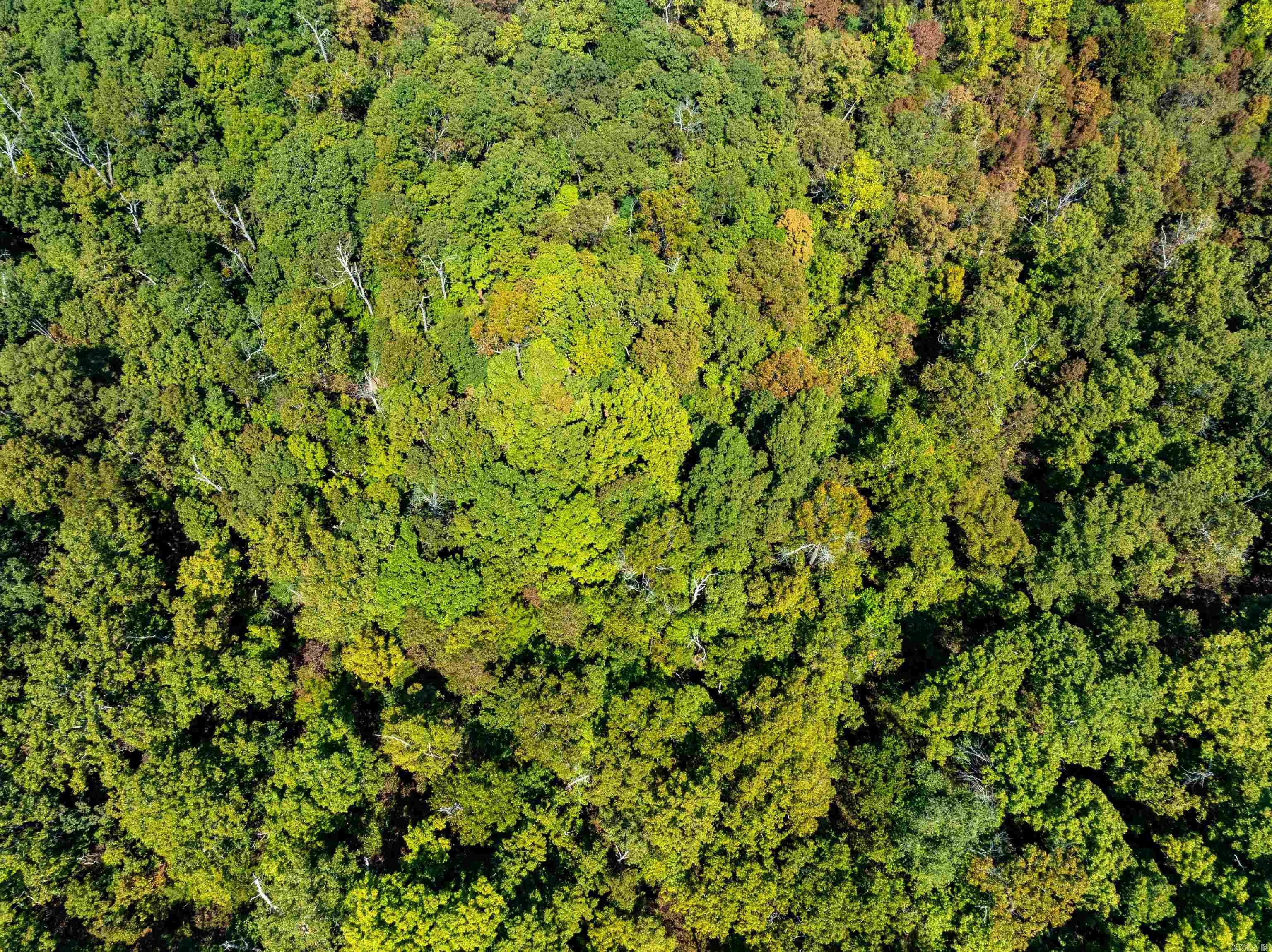 Photo 22 - Vacant Land for sale – TBD  Red Fox Rd   Hardy, AR