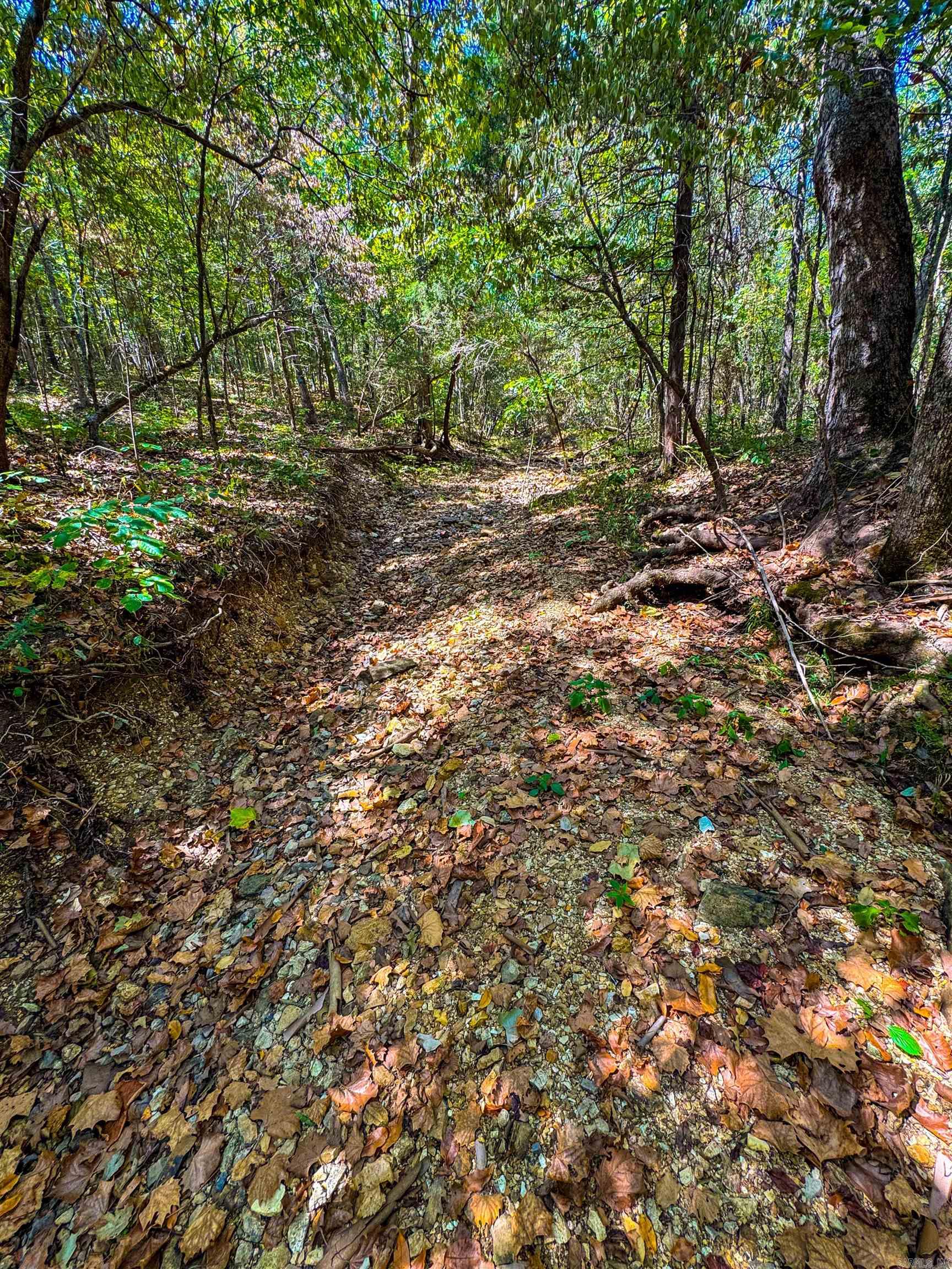 Photo 25 - Vacant Land for sale – TBD  Red Fox Rd   Hardy, AR