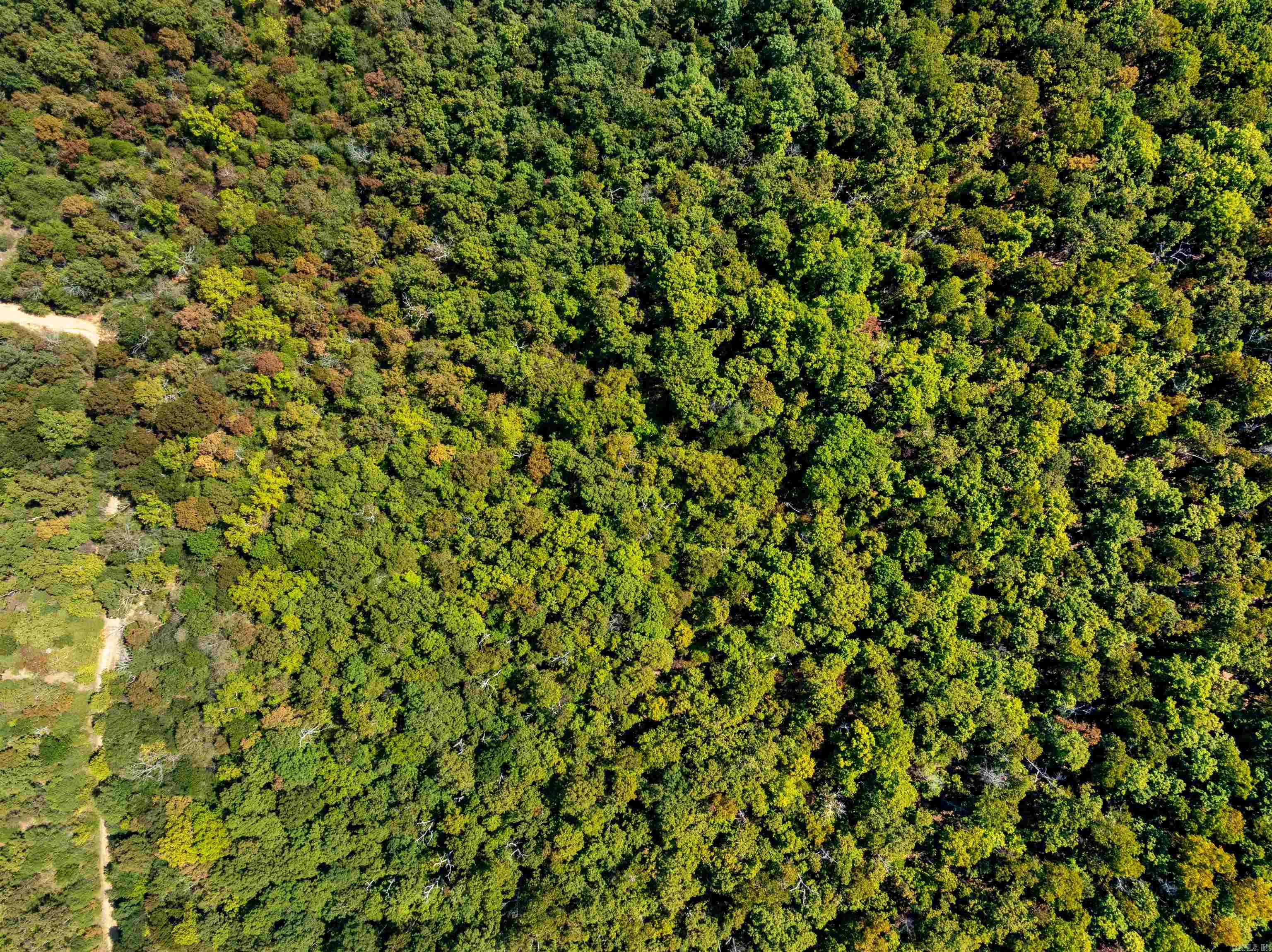 Photo 26 - Vacant Land for sale – TBD  Red Fox Rd   Hardy, AR