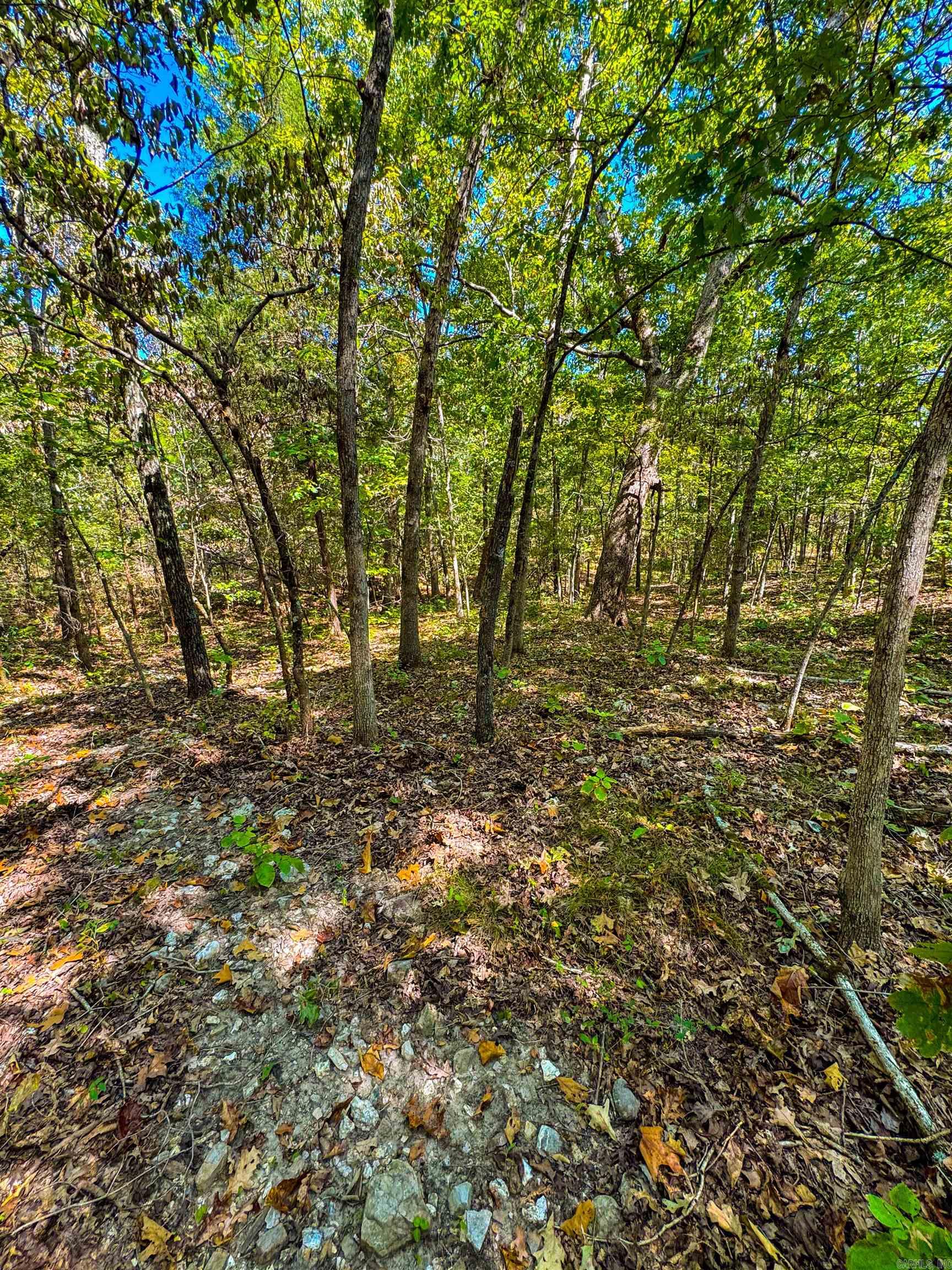Photo 27 - Vacant Land for sale – TBD  Red Fox Rd   Hardy, AR