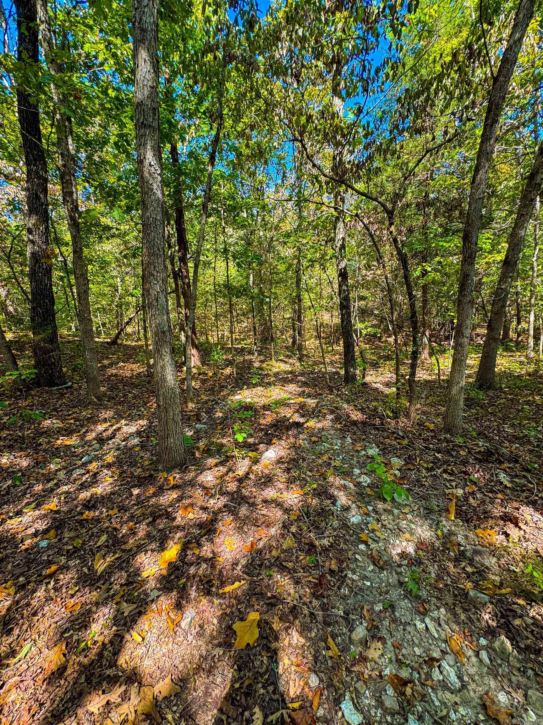 Photo 28 - Vacant Land for sale – TBD  Red Fox Rd   Hardy, AR