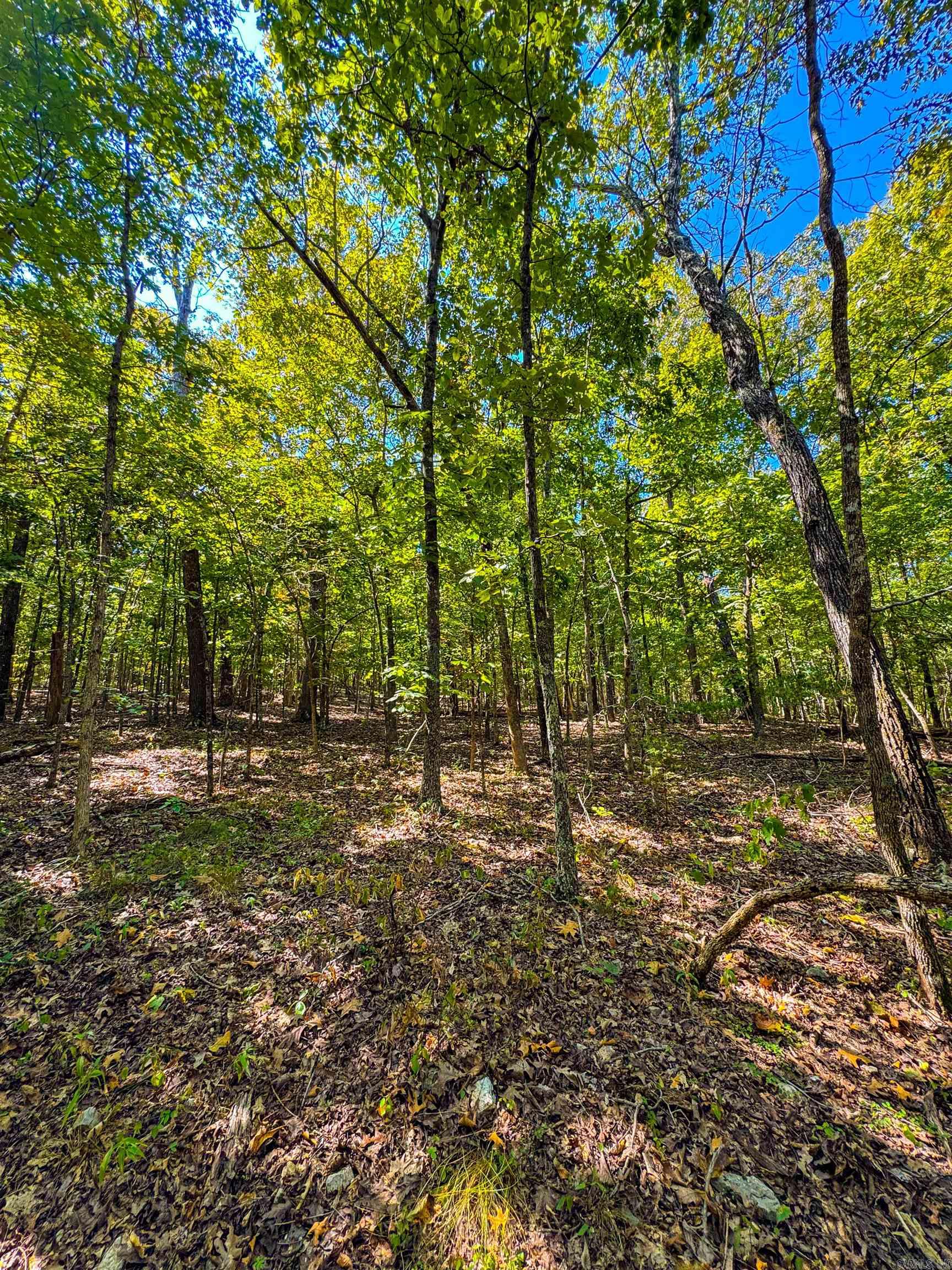 Photo 29 - Vacant Land for sale – TBD  Red Fox Rd   Hardy, AR