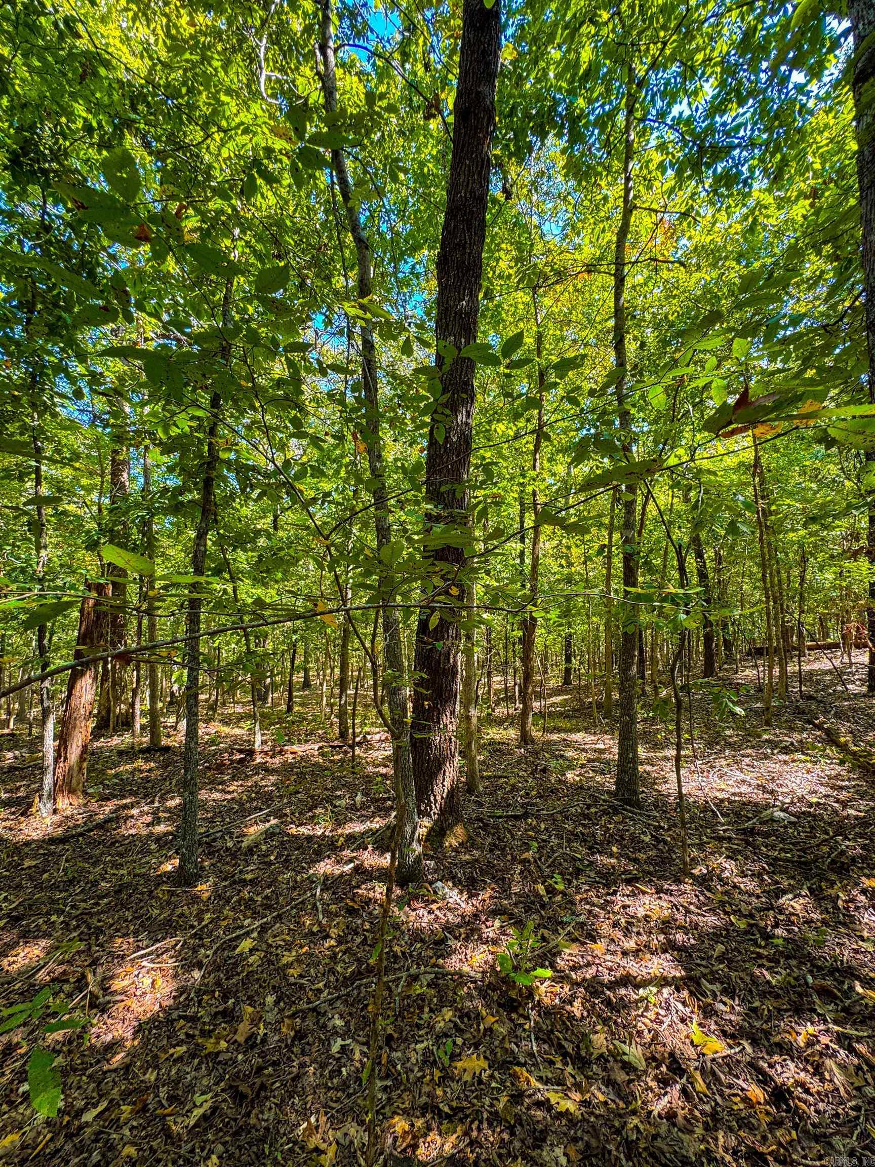 Photo 30 - Vacant Land for sale – TBD  Red Fox Rd   Hardy, AR