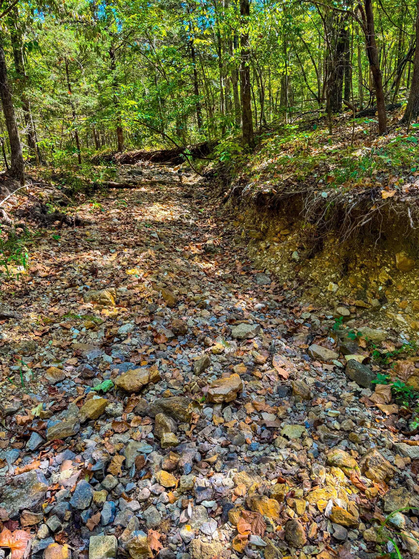 Photo 4 - Vacant Land for sale – TBD  Red Fox Rd   Hardy, AR