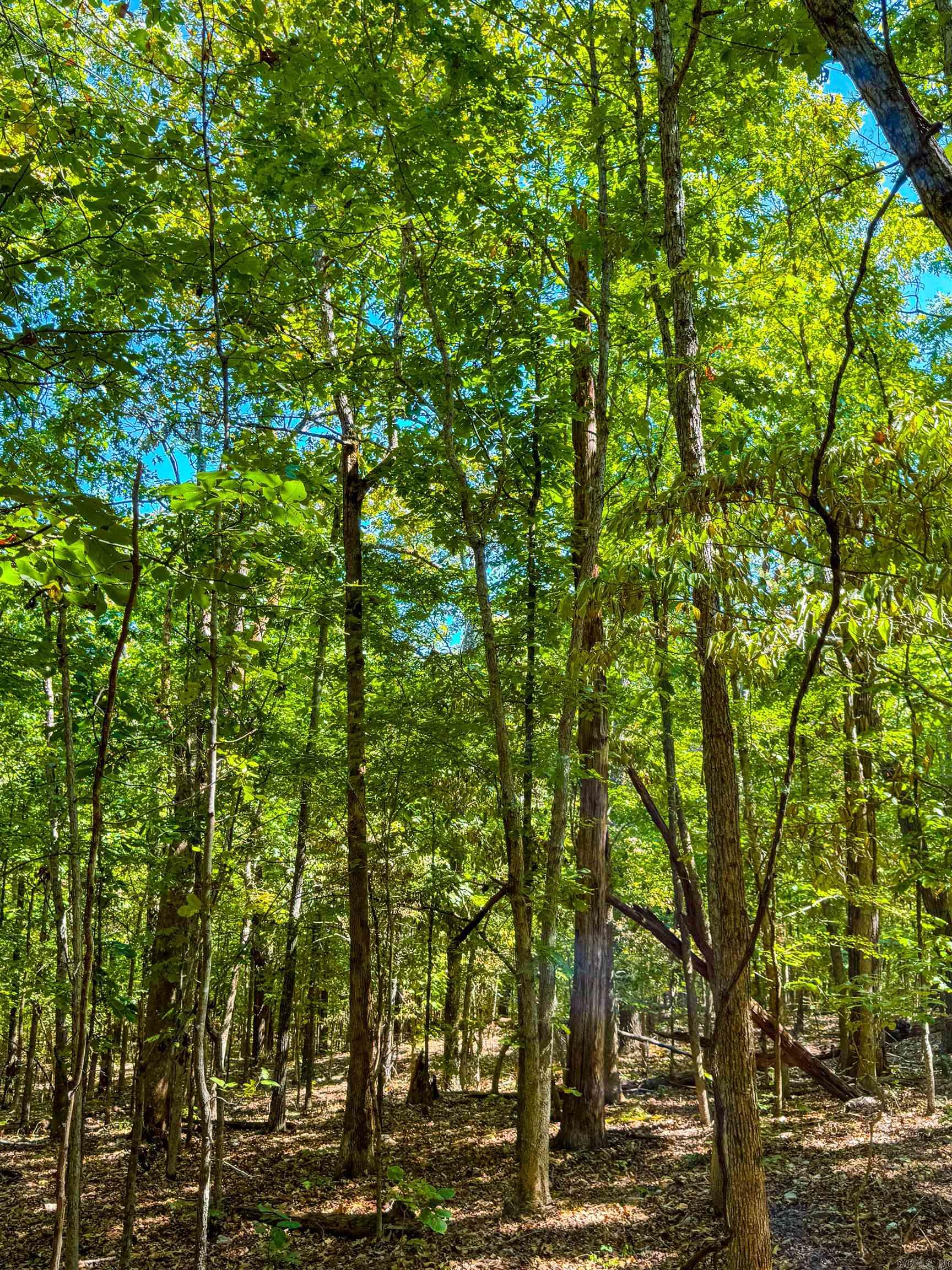 Photo 31 - Vacant Land for sale – TBD  Red Fox Rd   Hardy, AR