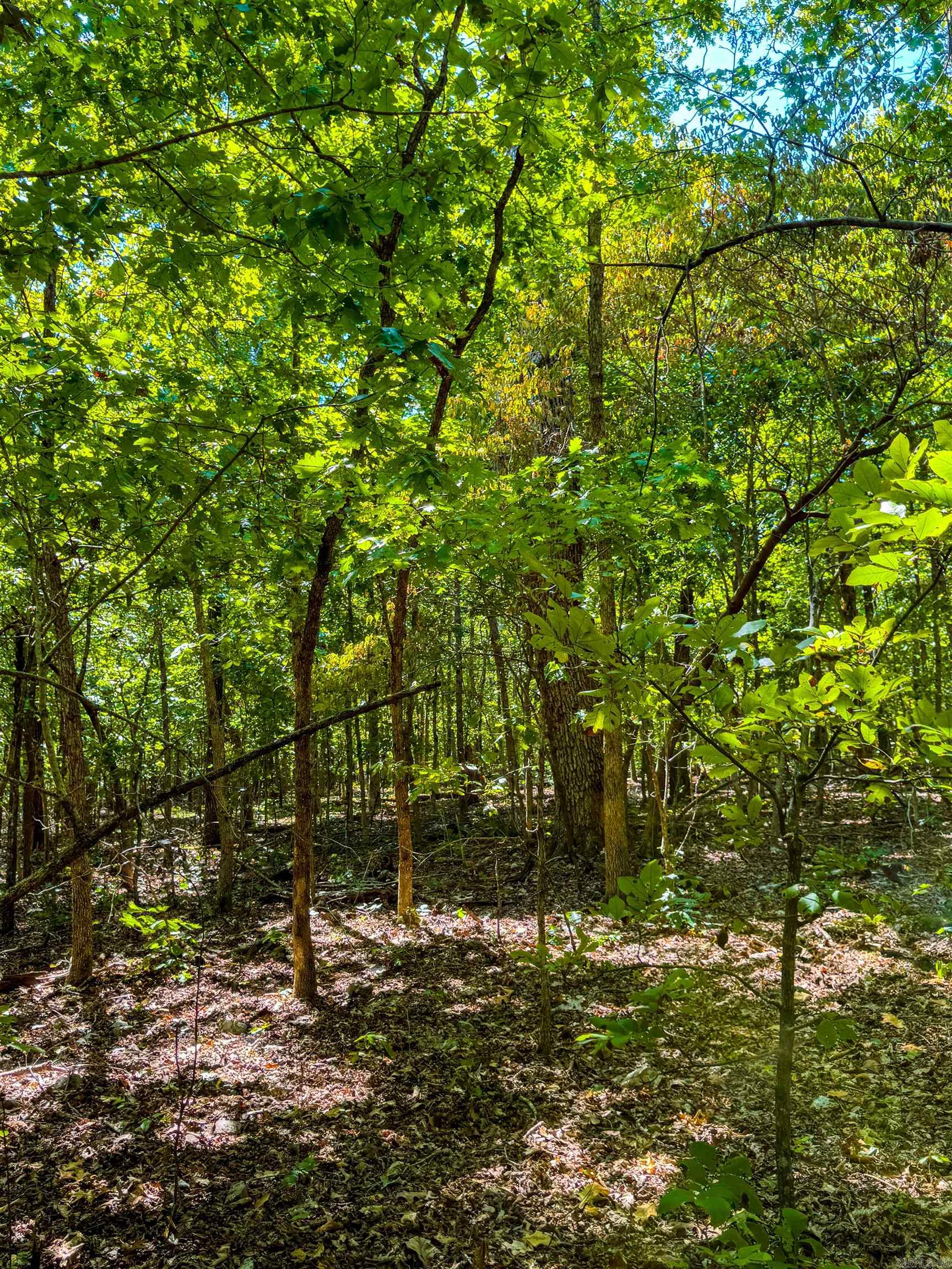 Photo 32 - Vacant Land for sale – TBD  Red Fox Rd   Hardy, AR