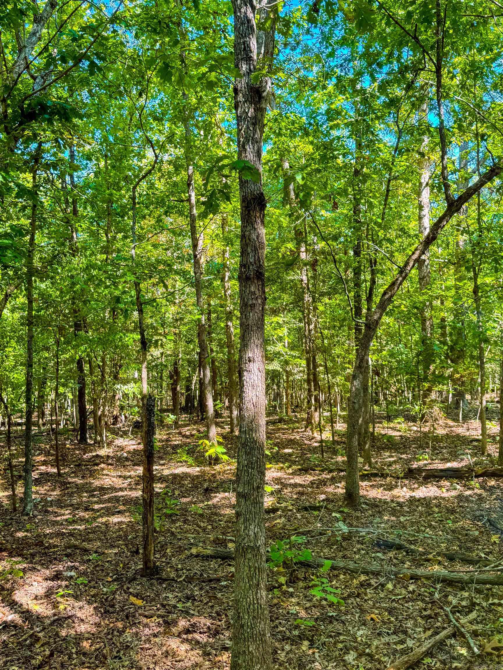 Photo 33 - Vacant Land for sale – TBD  Red Fox Rd   Hardy, AR
