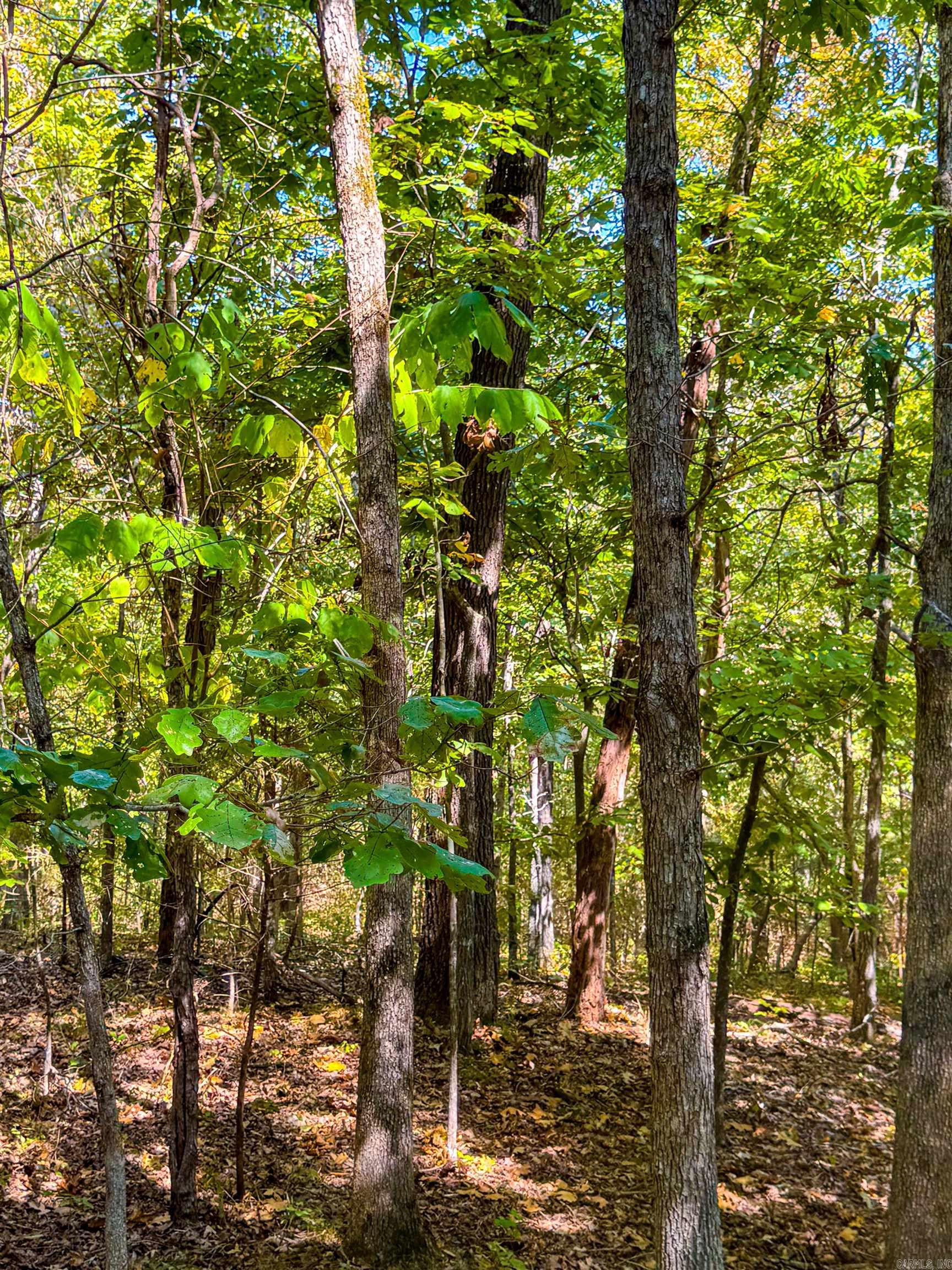 Photo 35 - Vacant Land for sale – TBD  Red Fox Rd   Hardy, AR