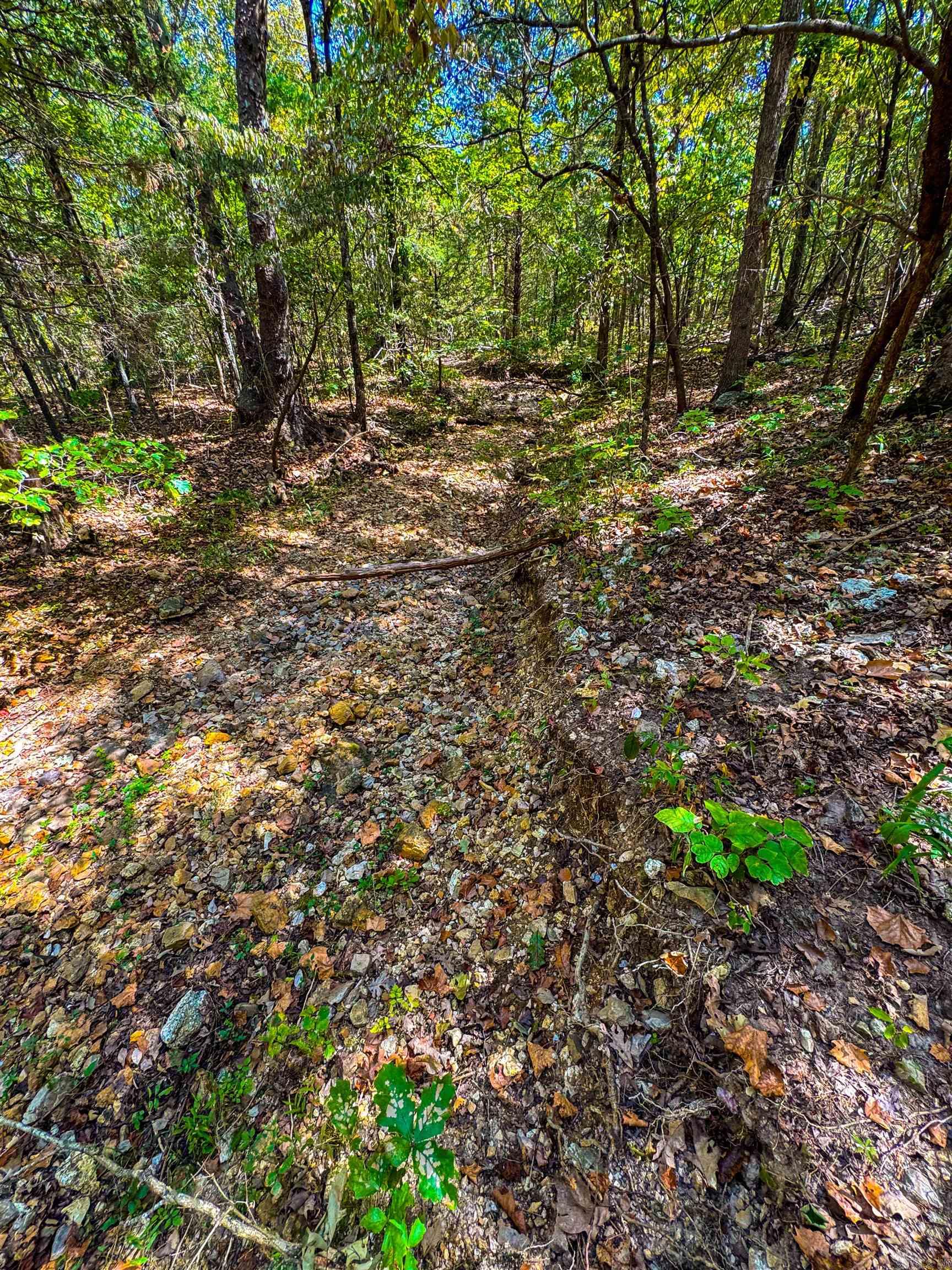 Photo 5 - Vacant Land for sale – TBD  Red Fox Rd   Hardy, AR