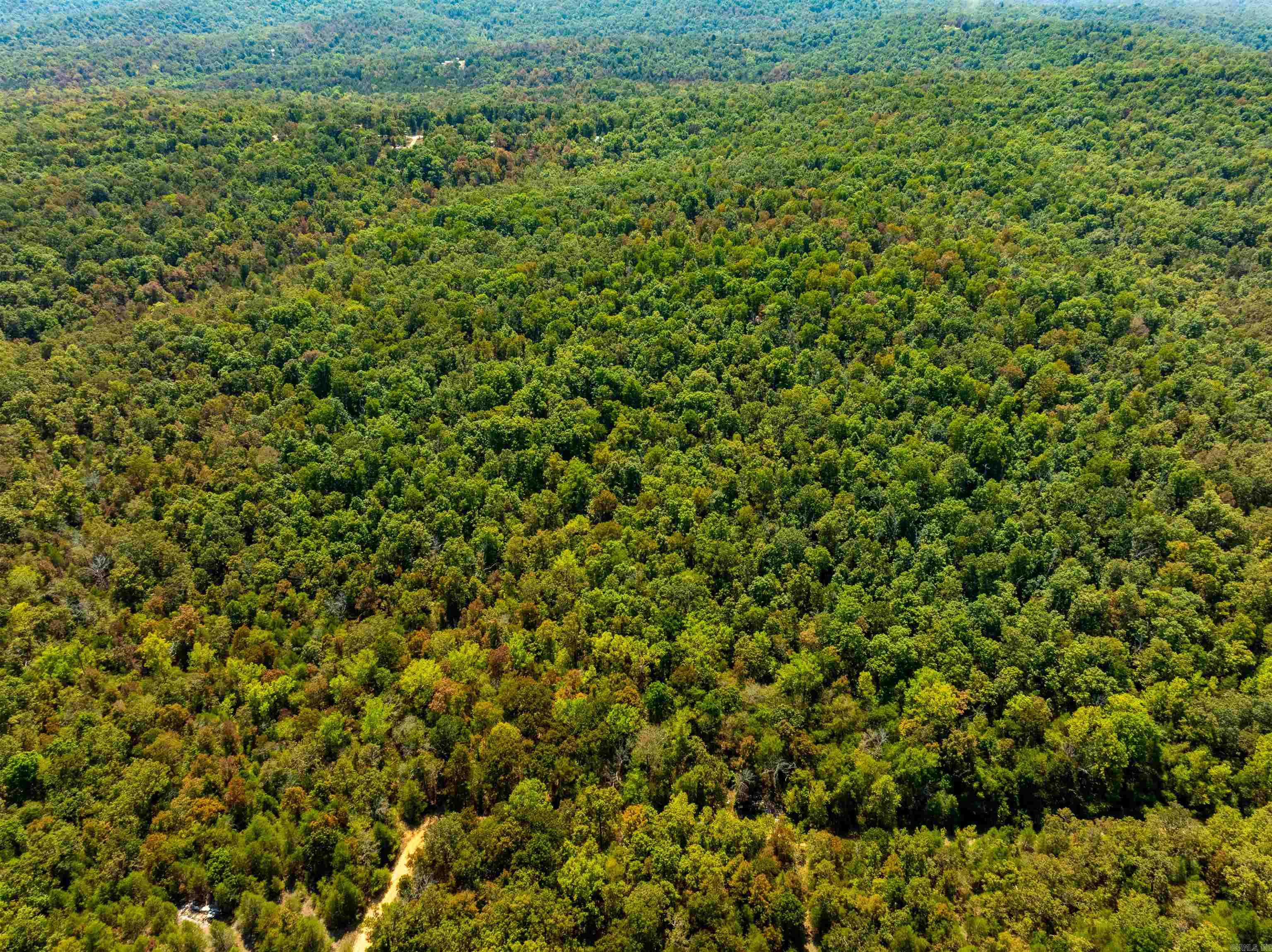Photo 6 - Vacant Land for sale – TBD  Red Fox Rd   Hardy, AR