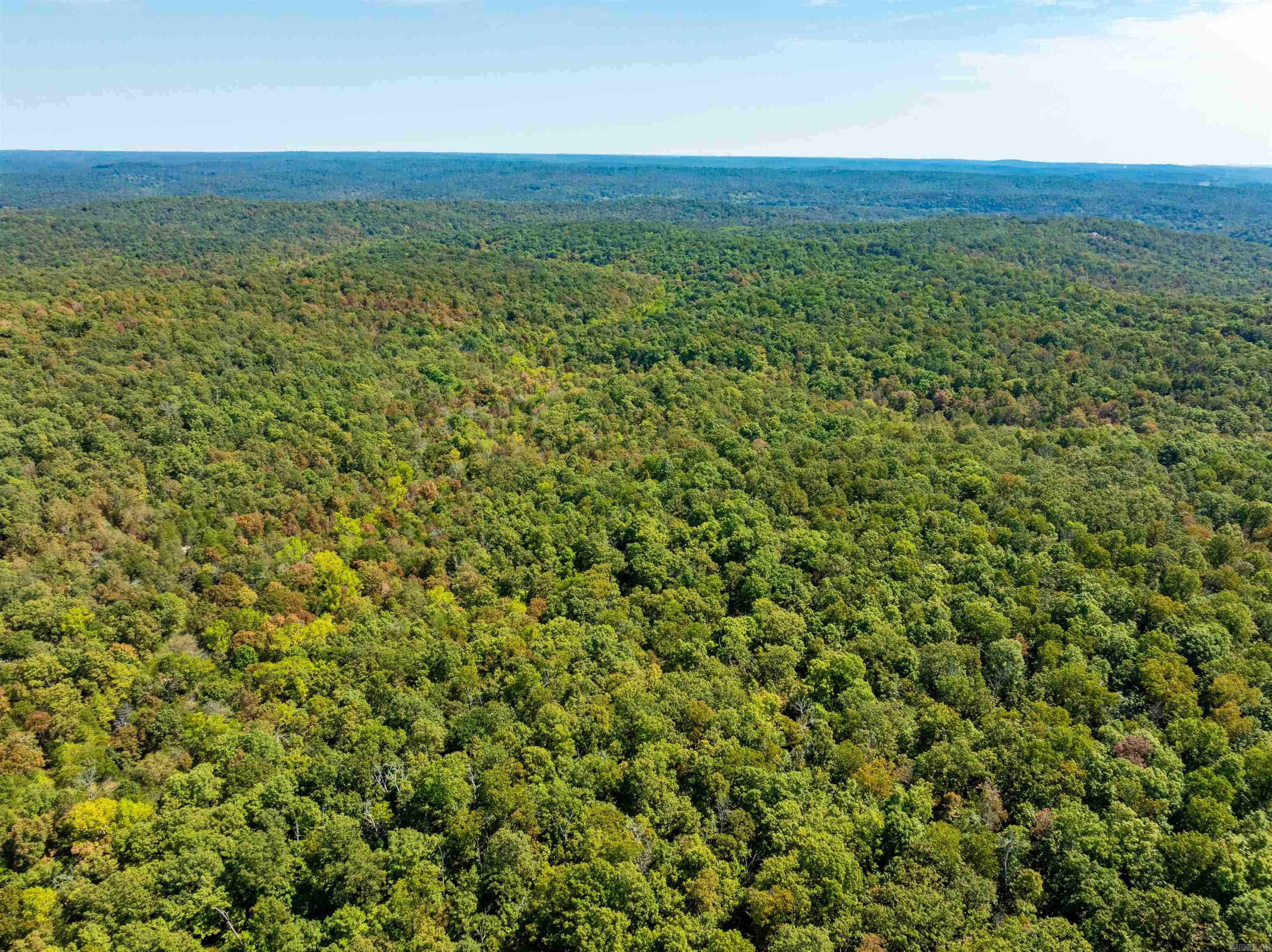 Photo 7 - Vacant Land for sale – TBD  Red Fox Rd   Hardy, AR