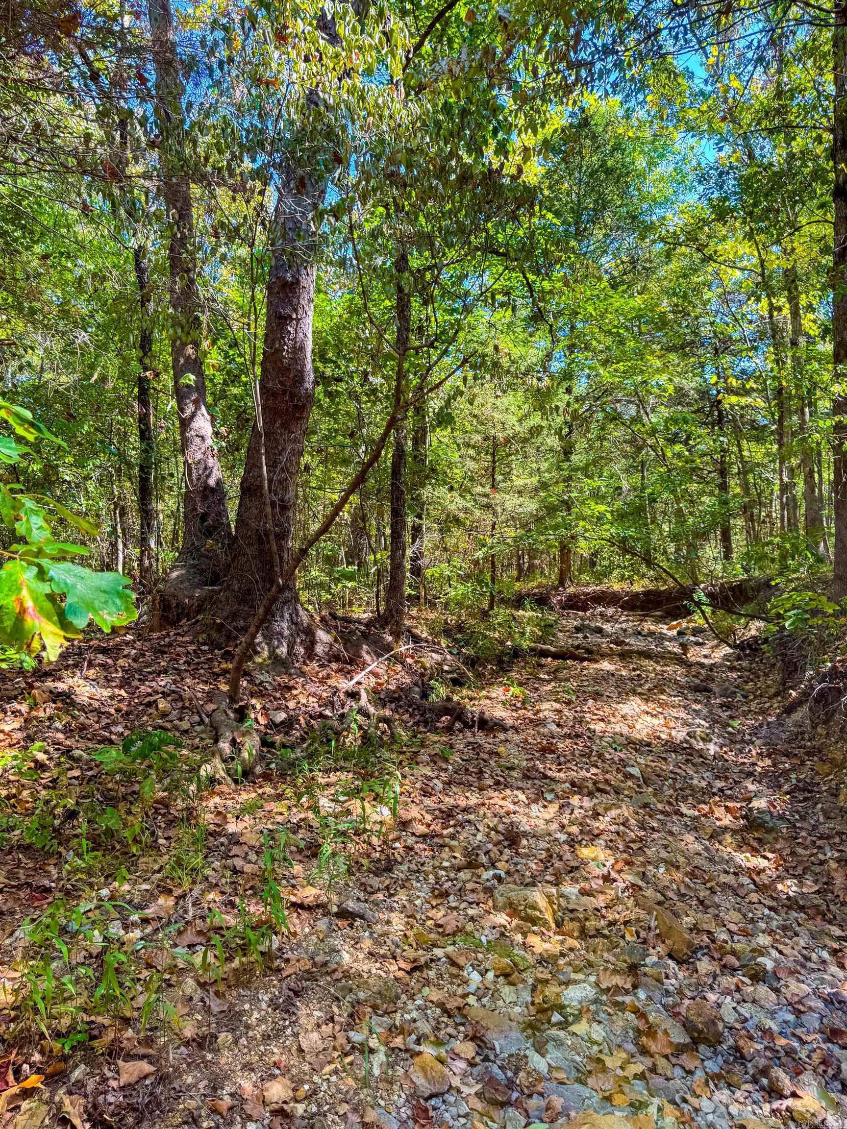 Photo 8 - Vacant Land for sale – TBD  Red Fox Rd   Hardy, AR
