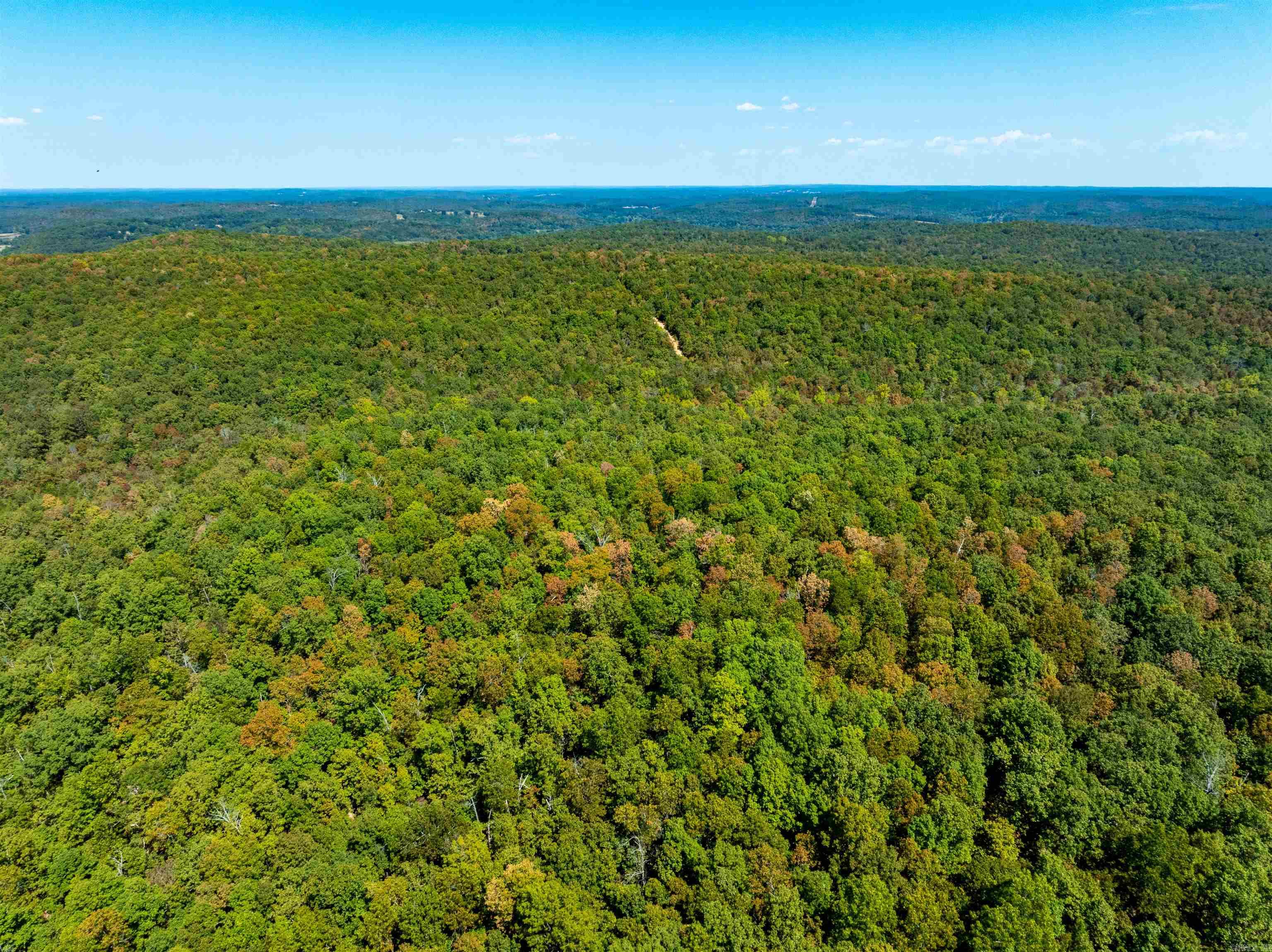 Photo 9 - Vacant Land for sale – TBD  Red Fox Rd   Hardy, AR