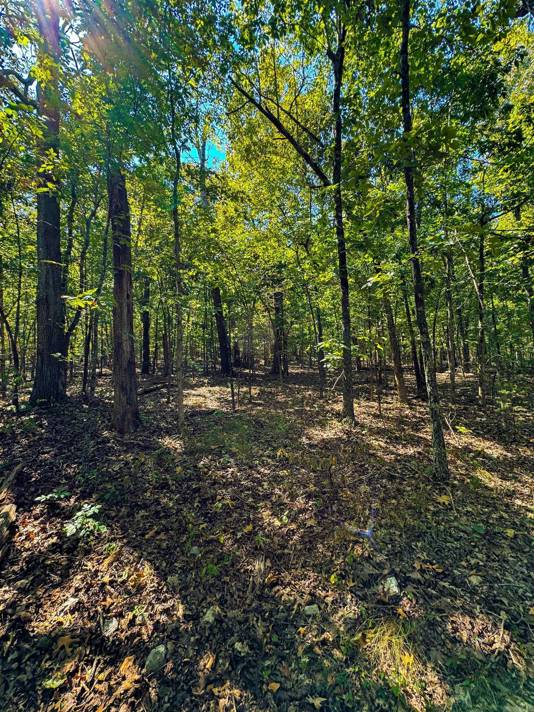 Photo 10 - Vacant Land for sale – TBD  Red Fox Rd   Hardy, AR
