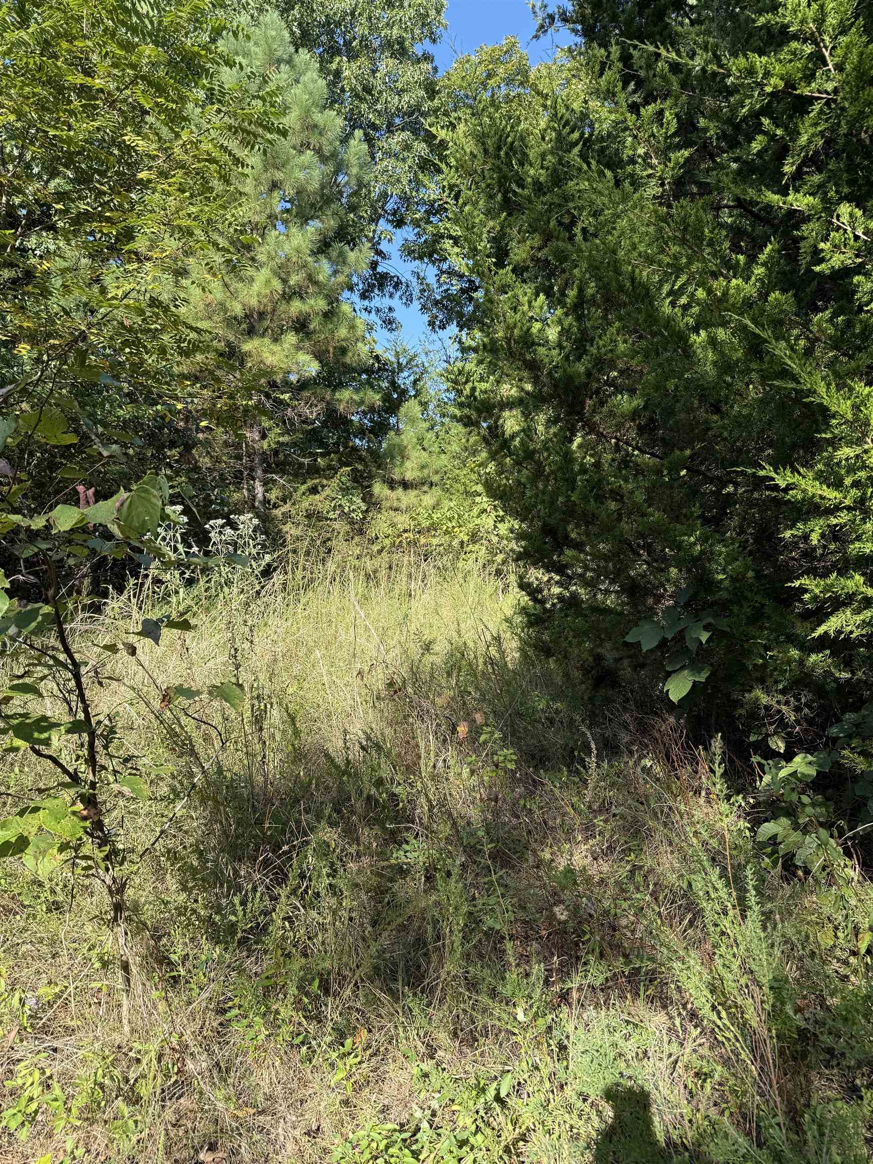 Vacant Land for sale – 1213  Ridge Circle   Horseshoe Bend, AR