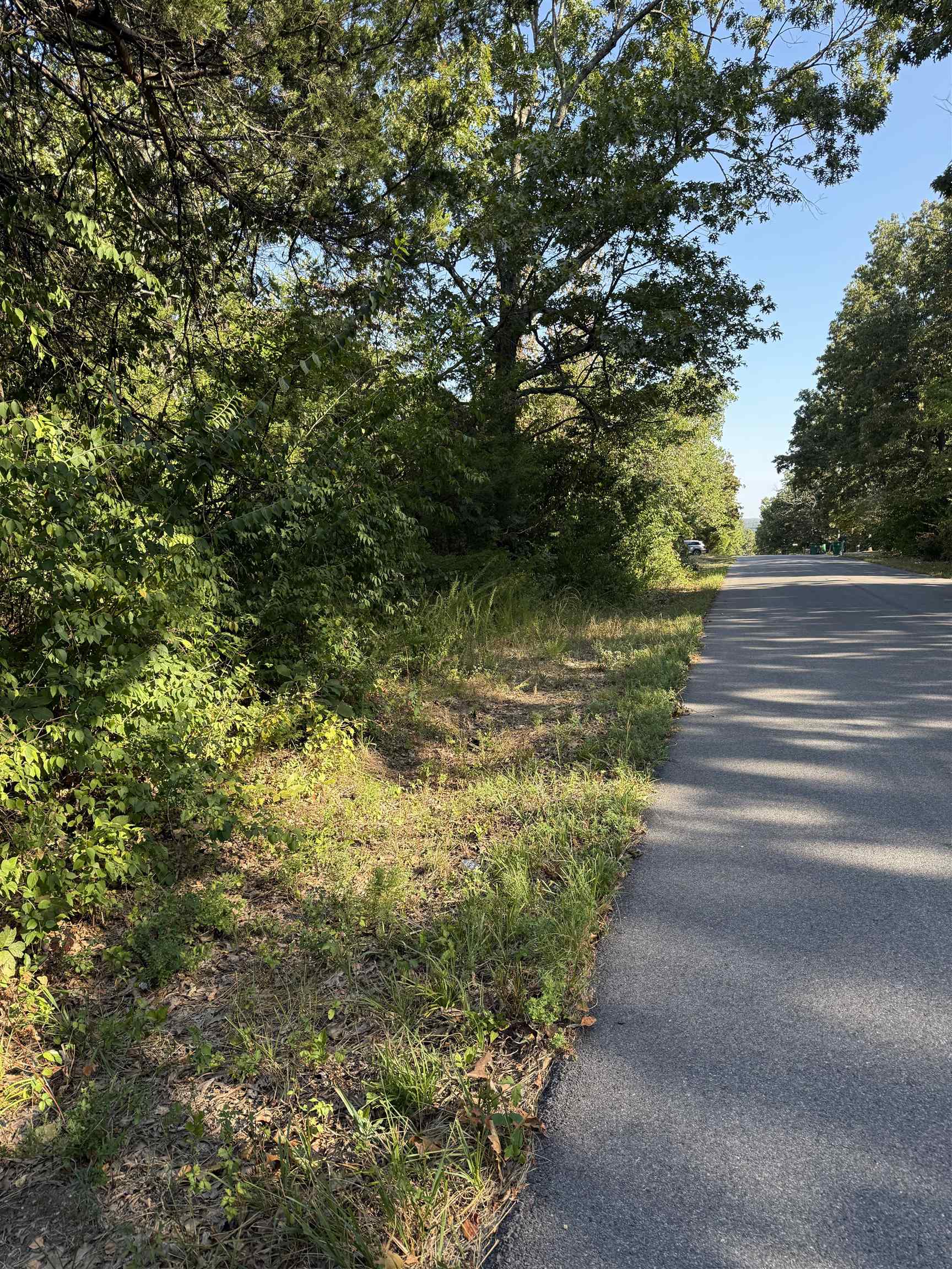 Photo 2 - Vacant Land for sale – 1213  Ridge Circle   Horseshoe Bend, AR